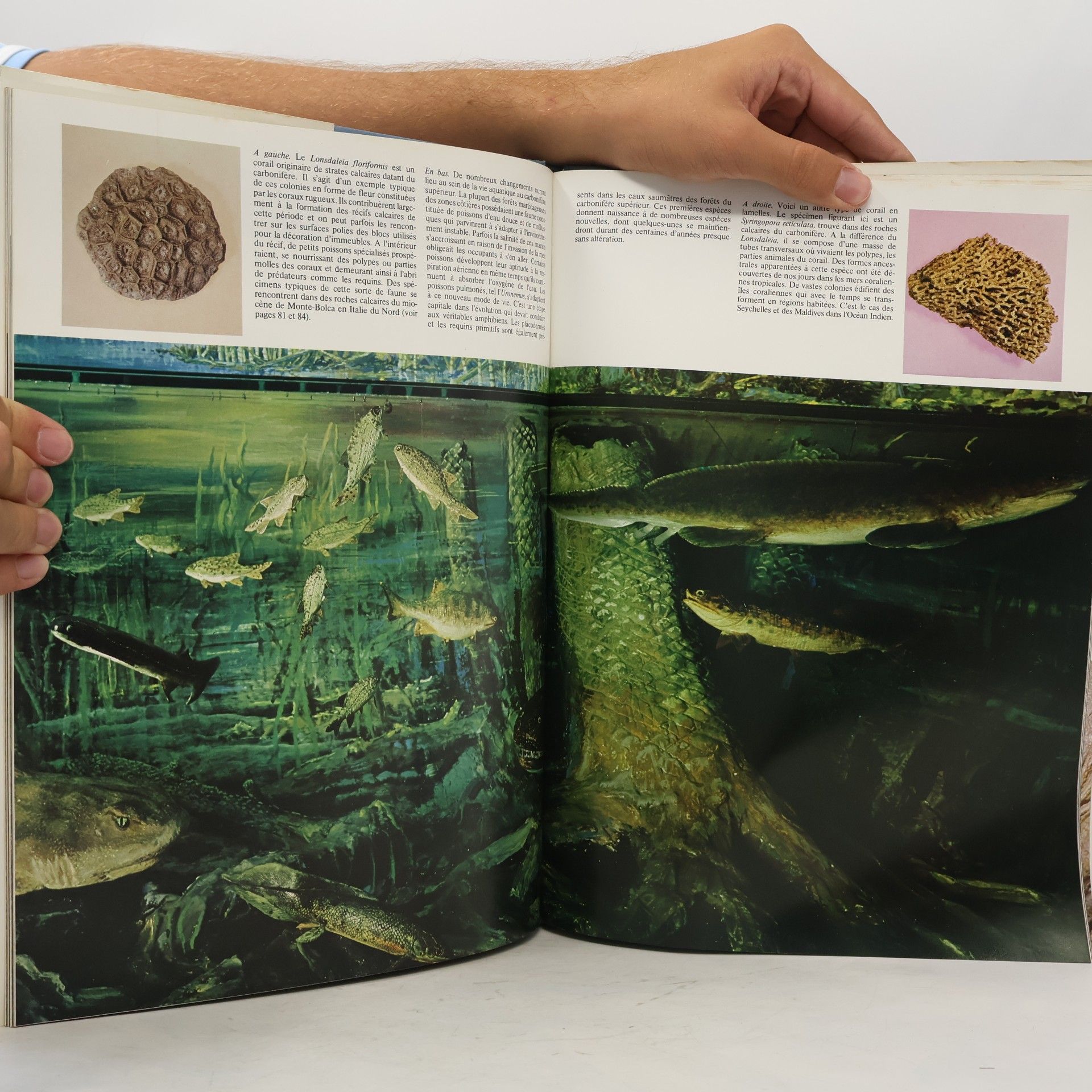 Ellis Owen Prehistoric animals. The Extraordinary Story of Life before Man