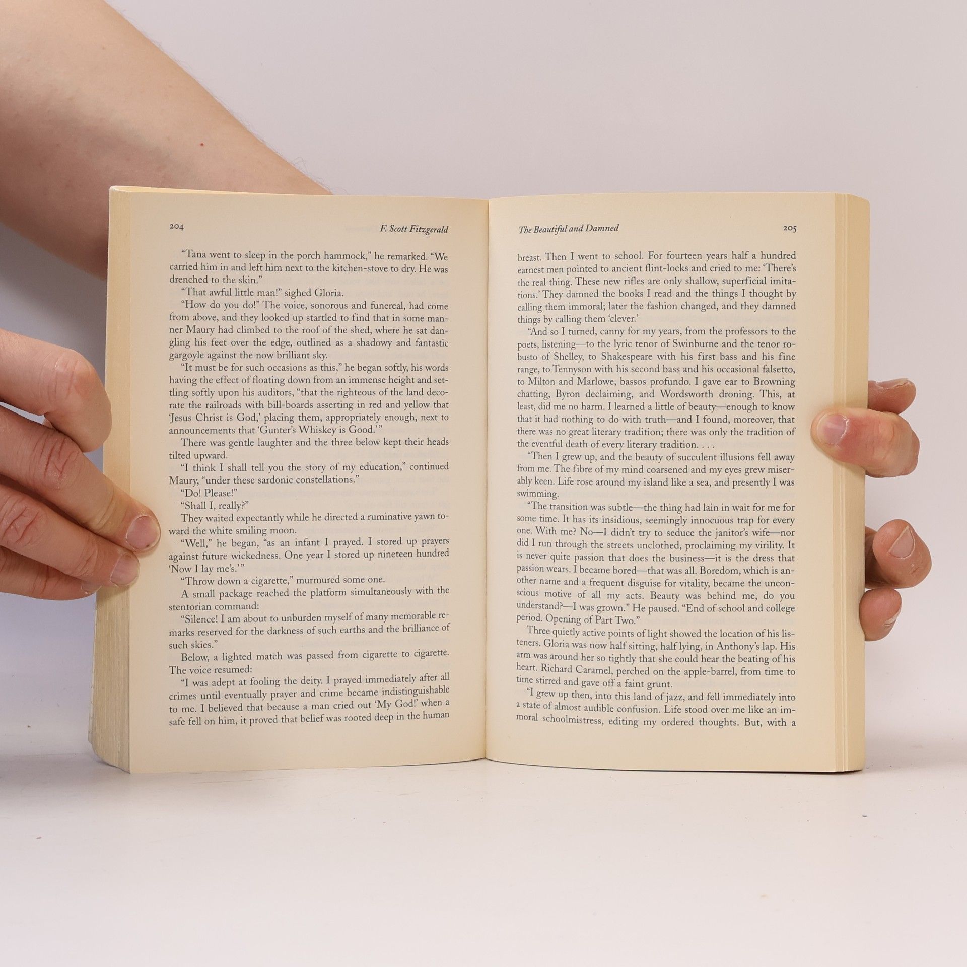 F. Scott Fitzgerald Barnes & Noble Classics: The Beautiful and Damned