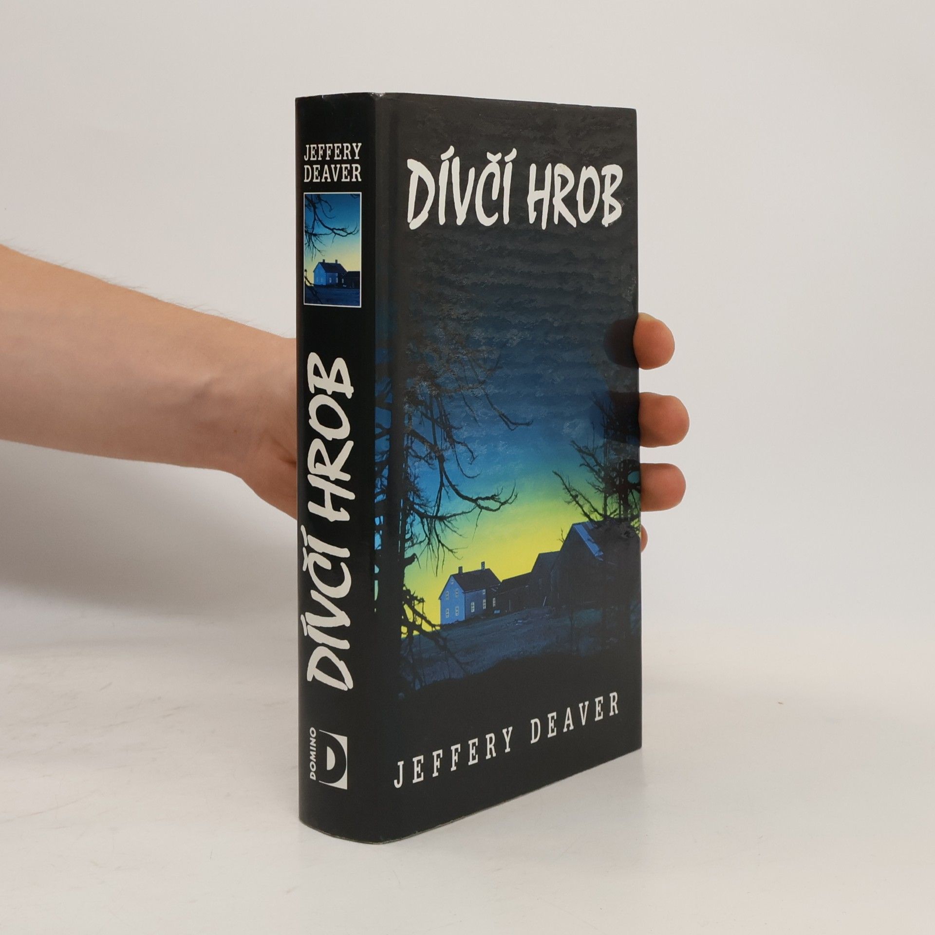 Jeffery Deaver Dívčí hrob