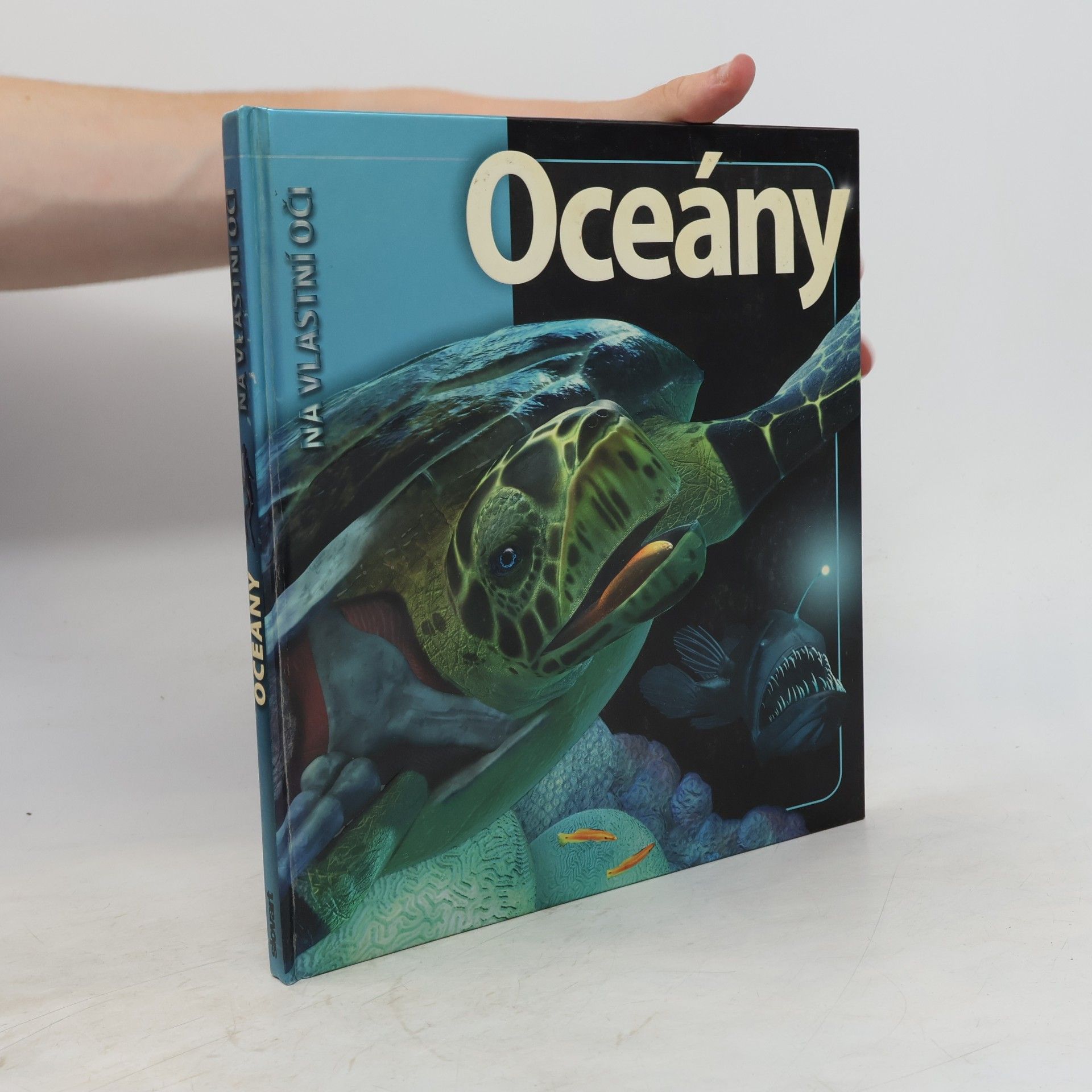 Beverly McMillan Oceány