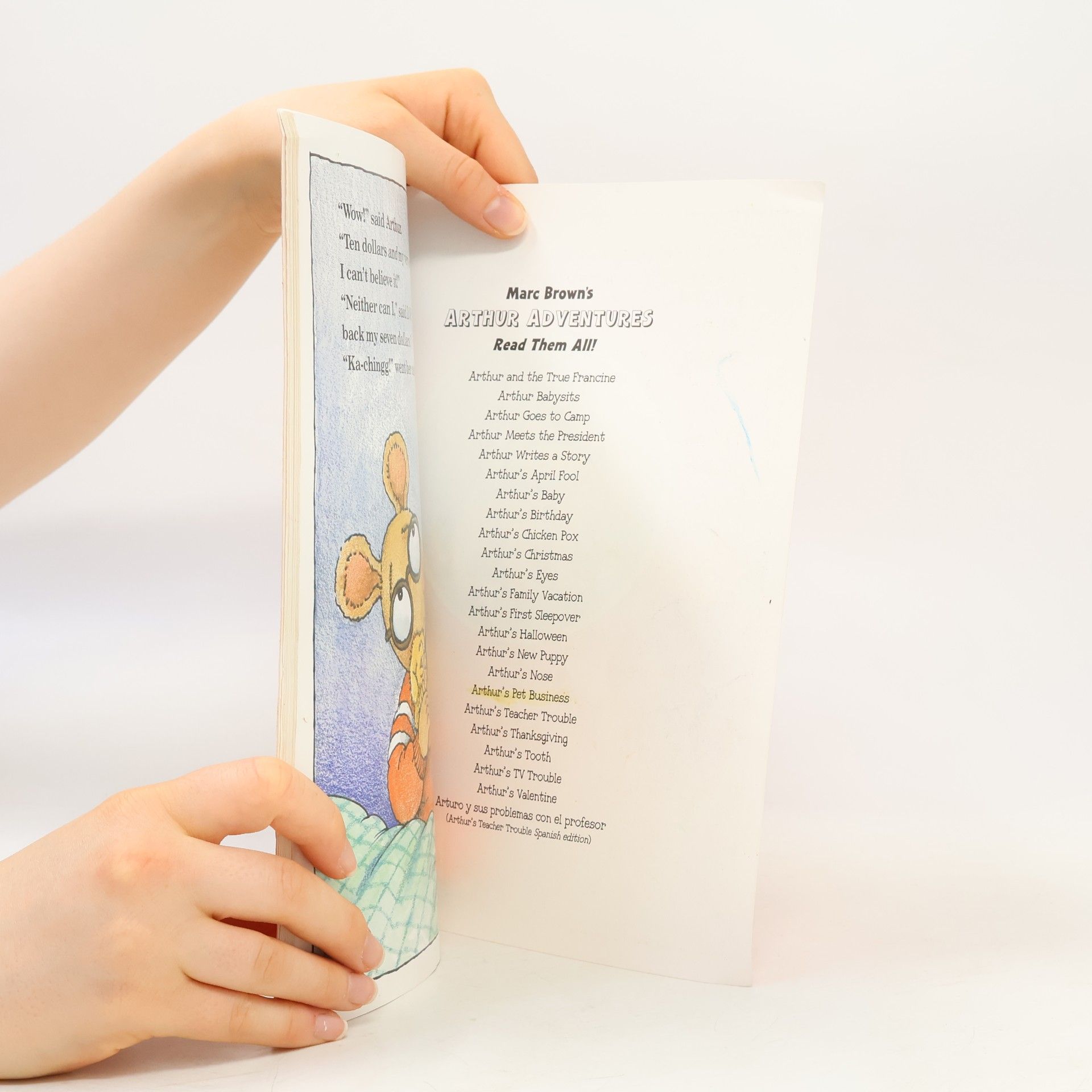 Marc Brown Arthur's Pet Business