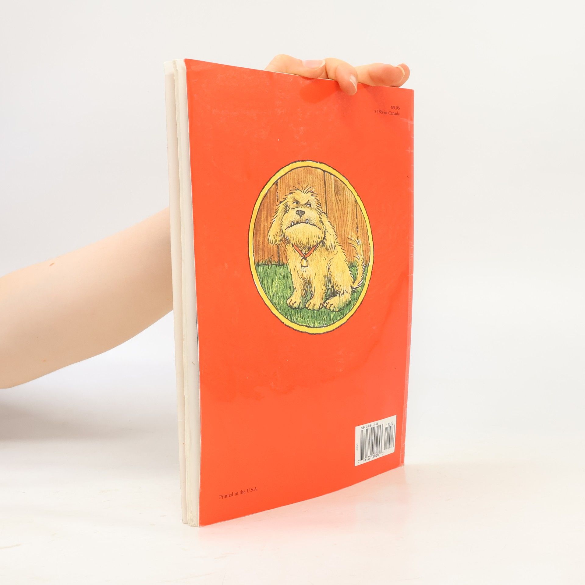 Marc Brown Arthur's Pet Business