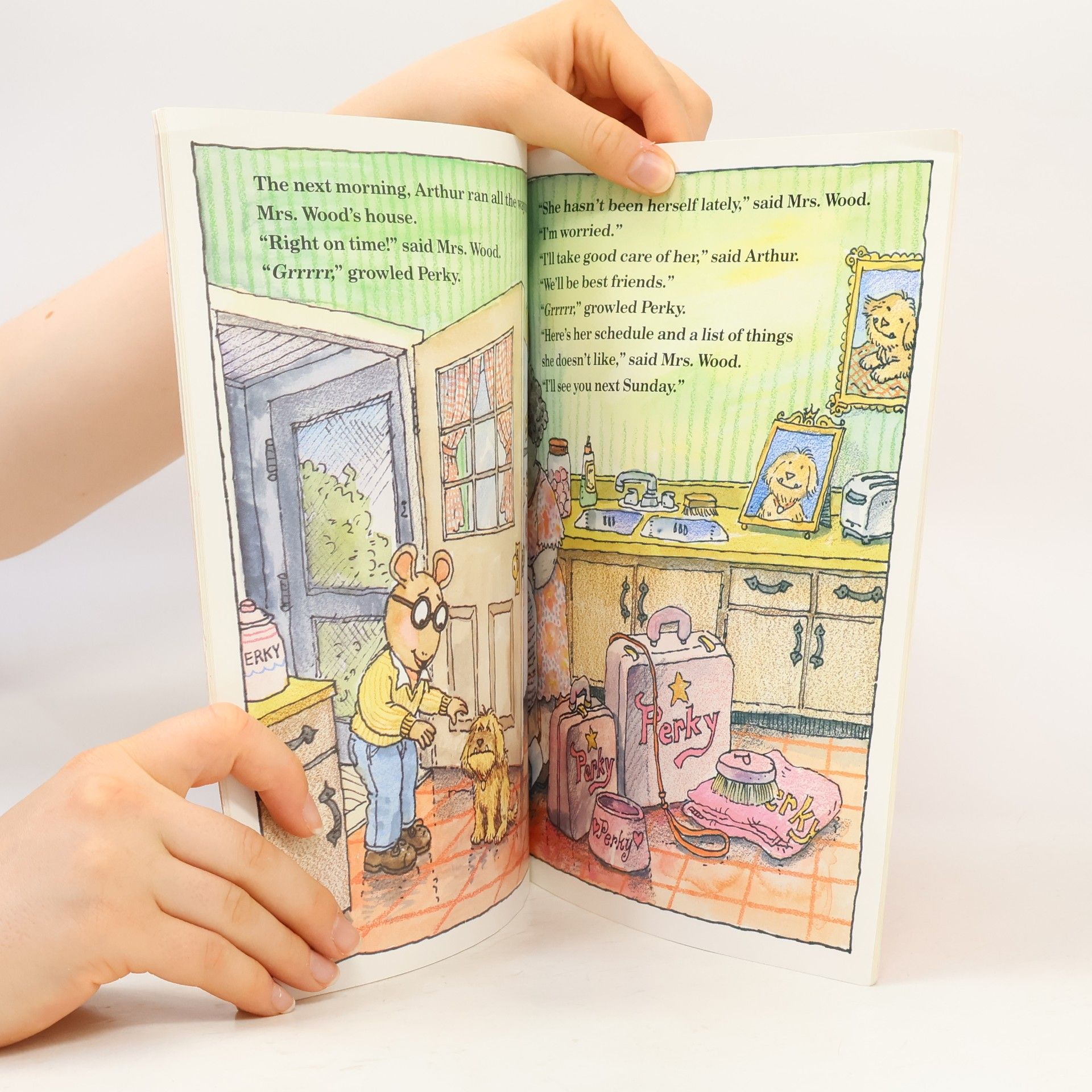 Marc Brown Arthur's Pet Business