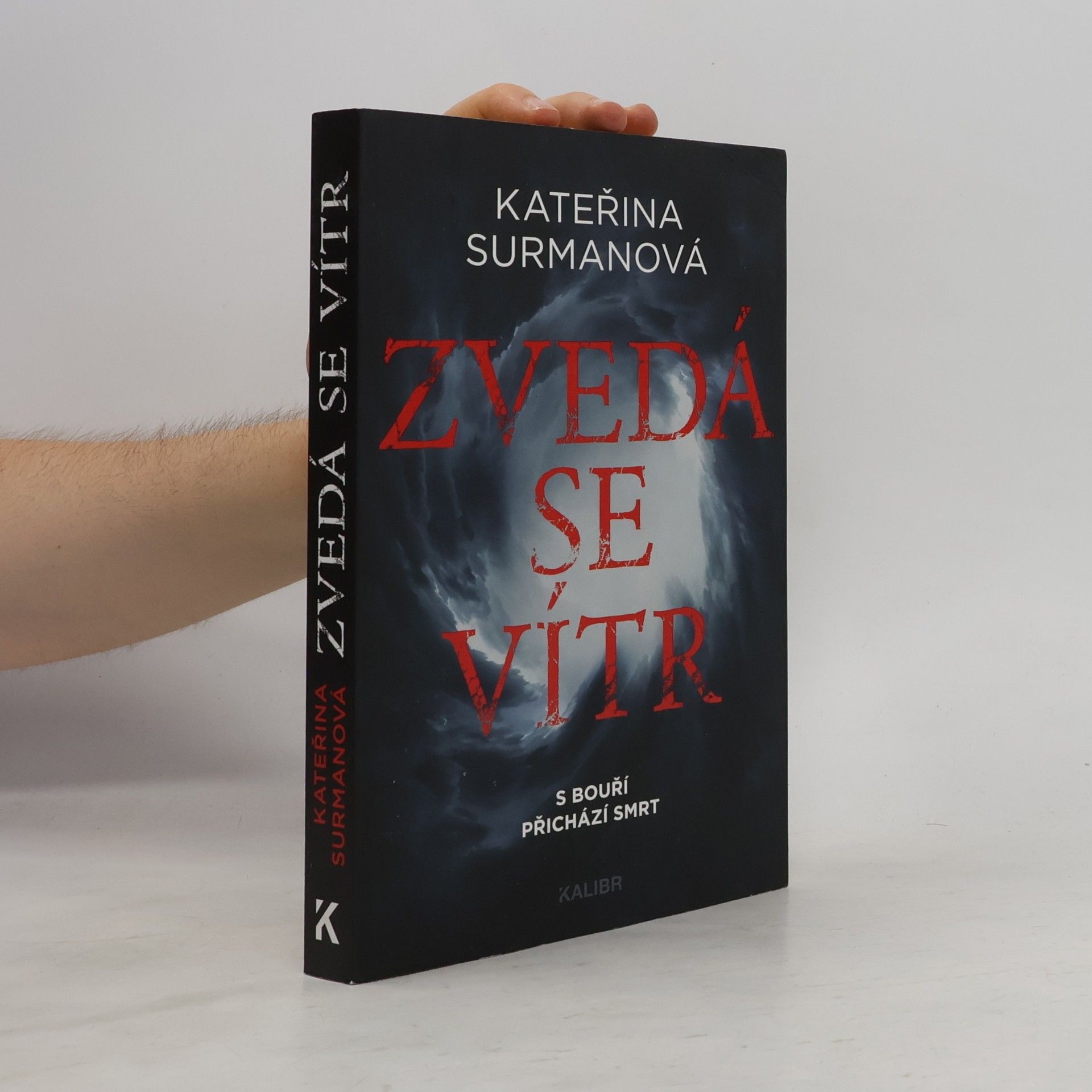 Kateřina Surmanová Zvedá se vítr