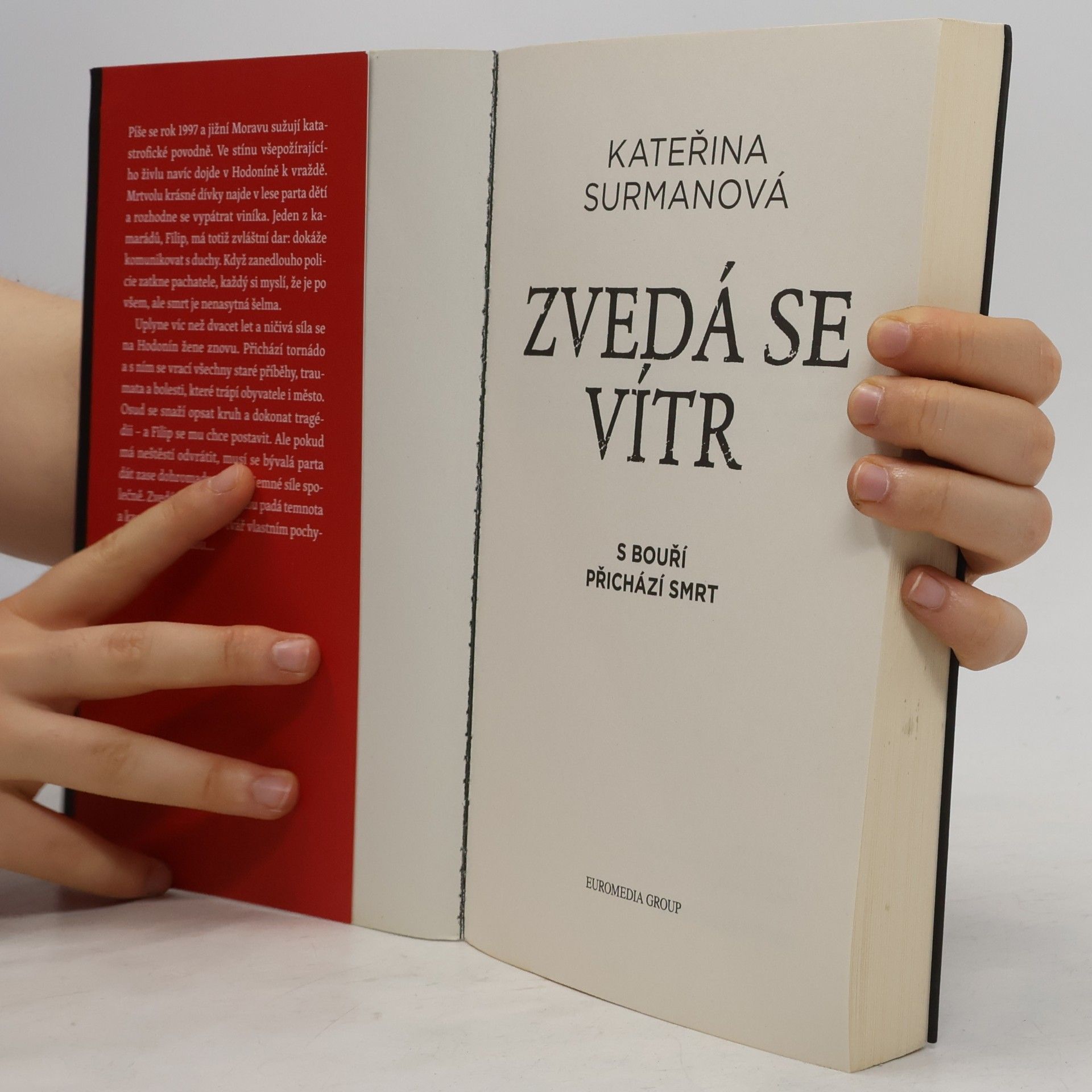 Kateřina Surmanová Zvedá se vítr