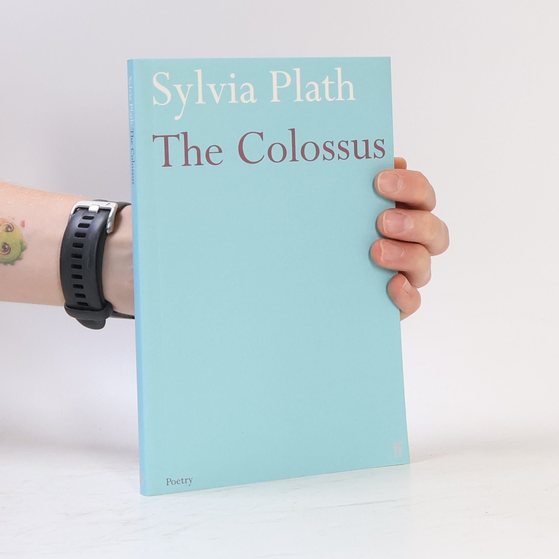 Sylvia Plath The Colossus