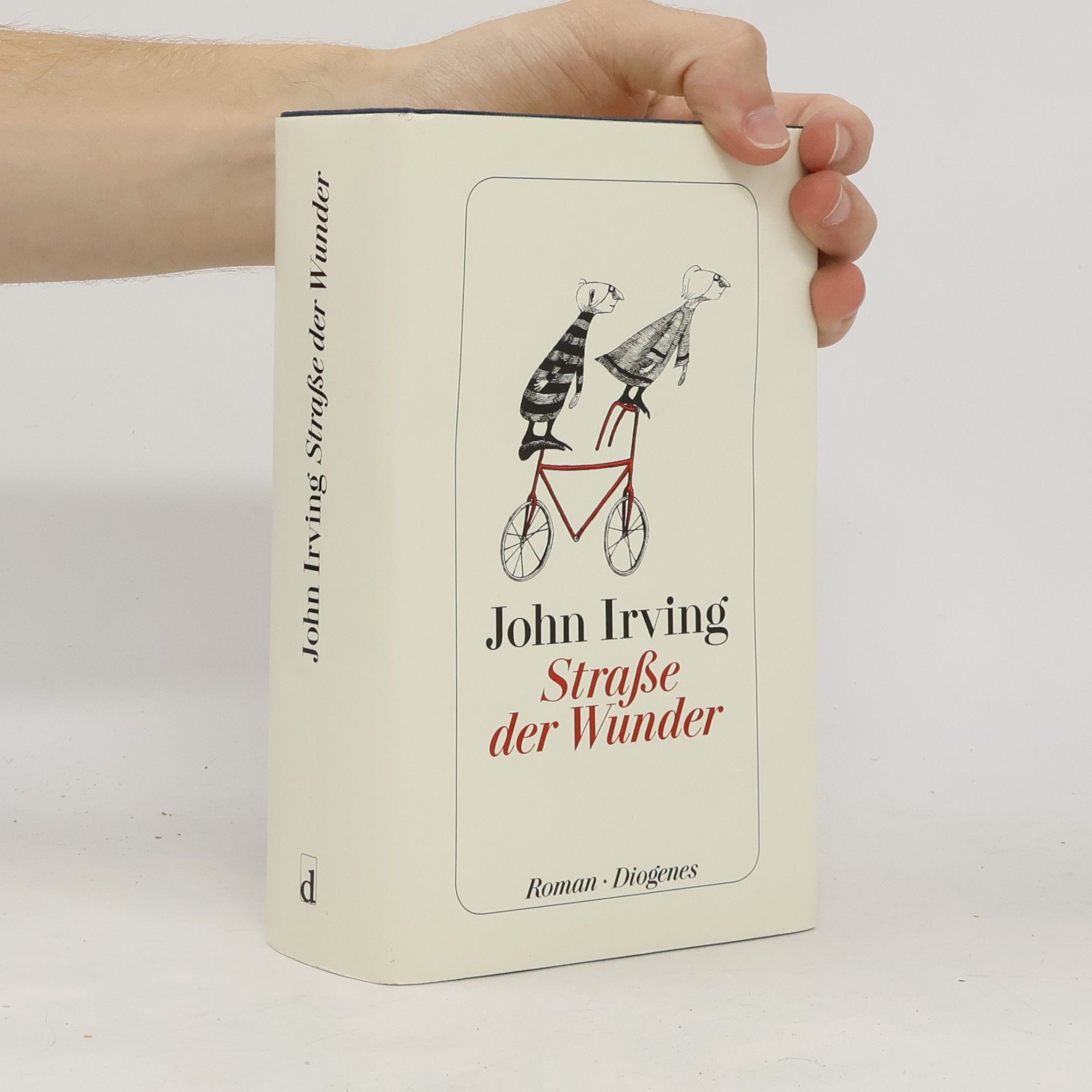 John Irving Straße der Wunder