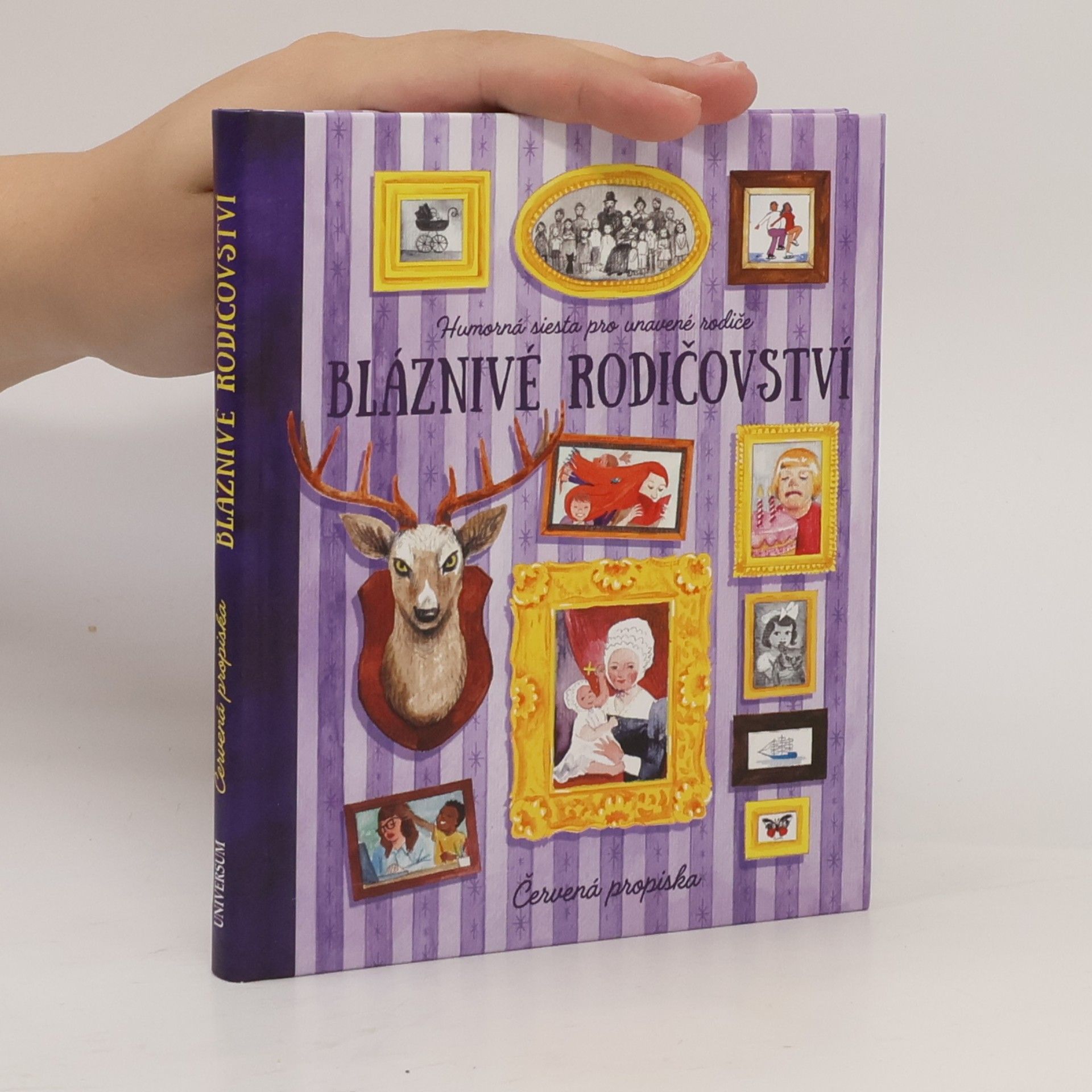 Kolektiv autorů Bláznivé rodičovství. Humorná siesta pro unavené rodiče