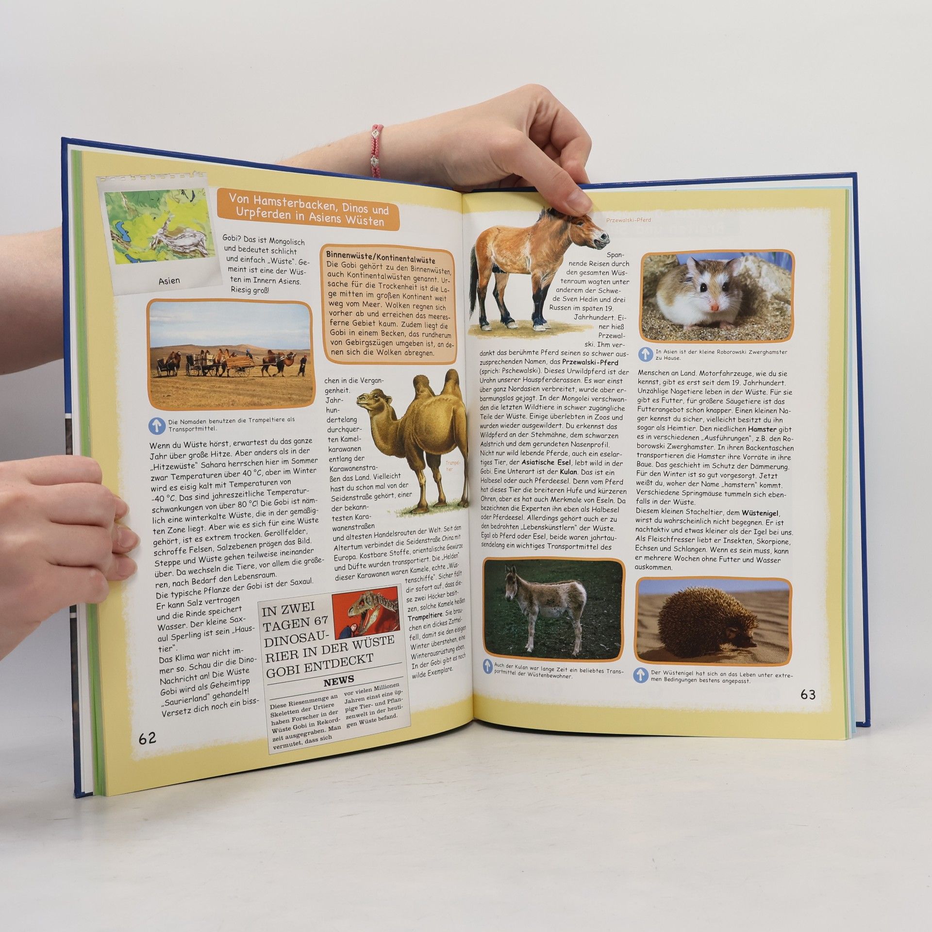 Various authors Tieratlas für Kinder