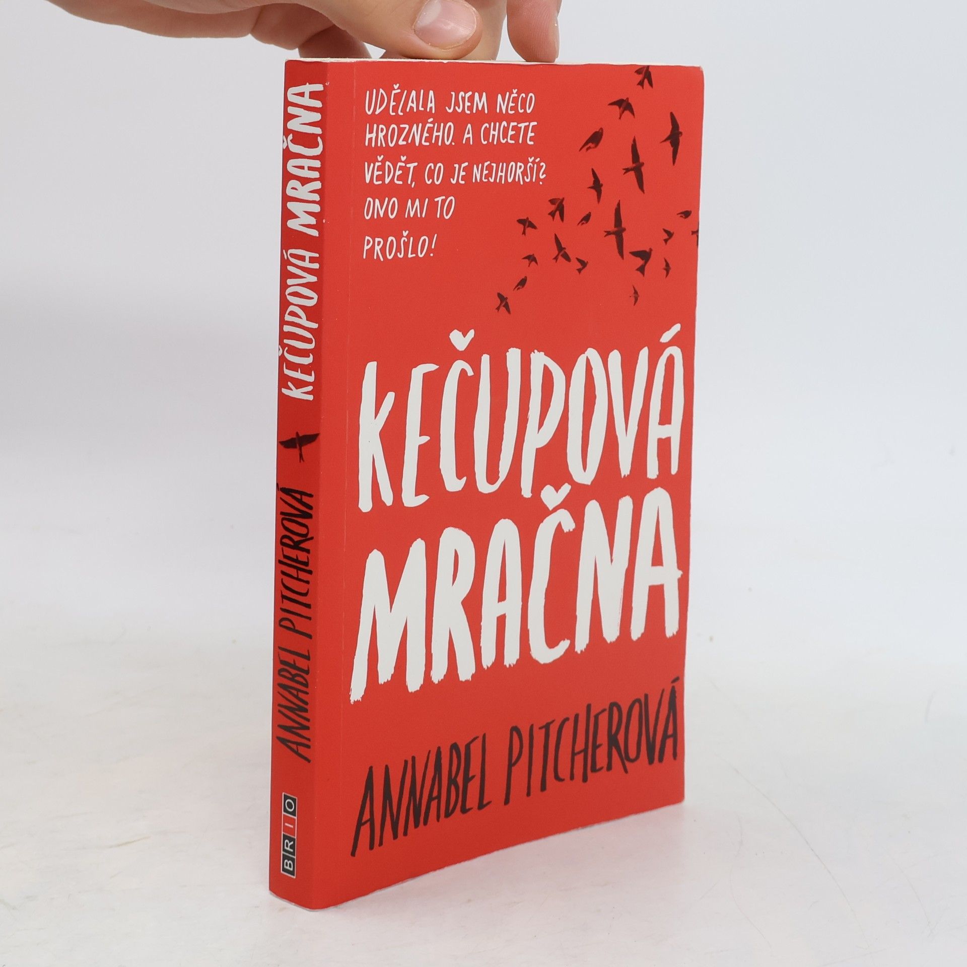 Annabel Pitcher Kečupová mračna
