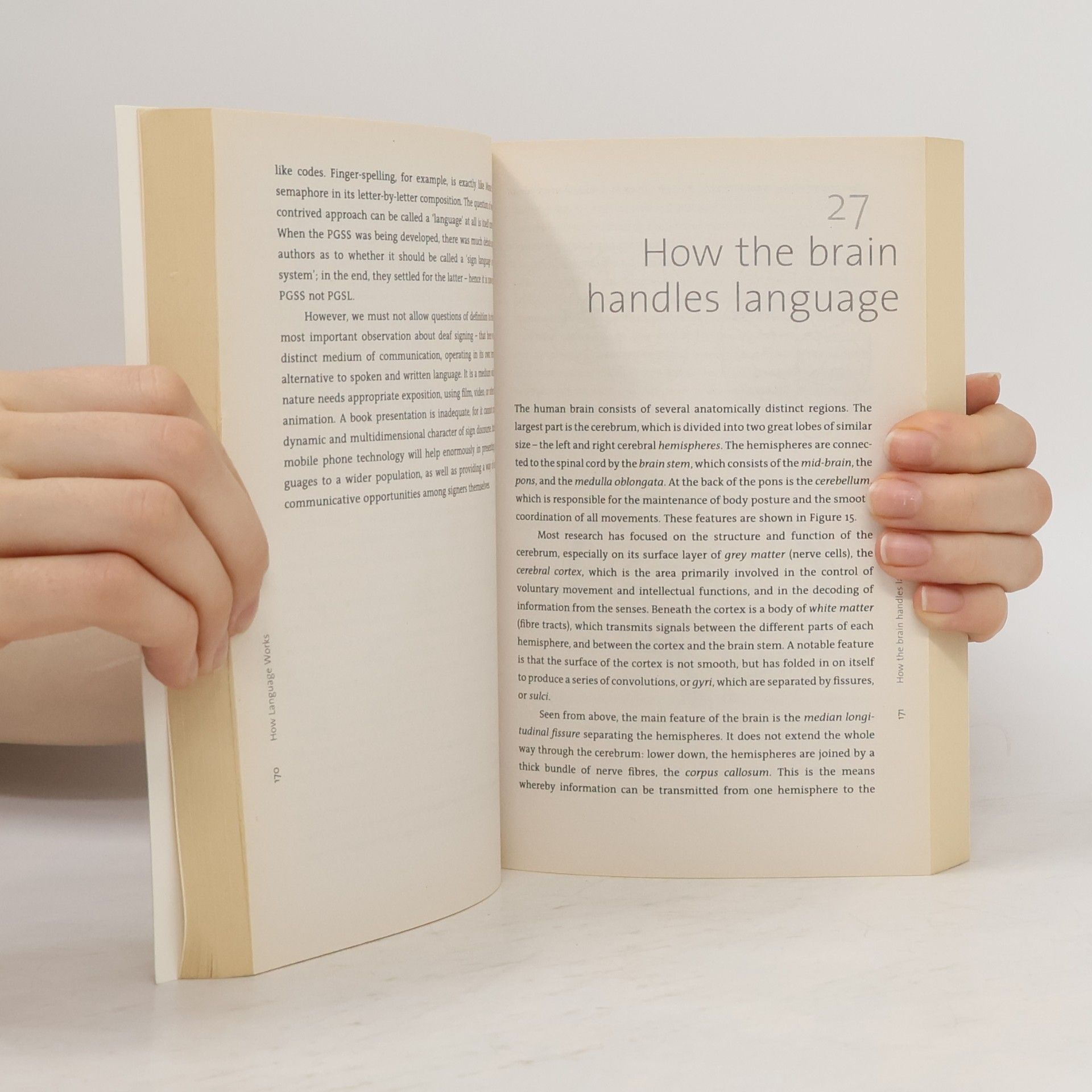 David Crystal How language works
