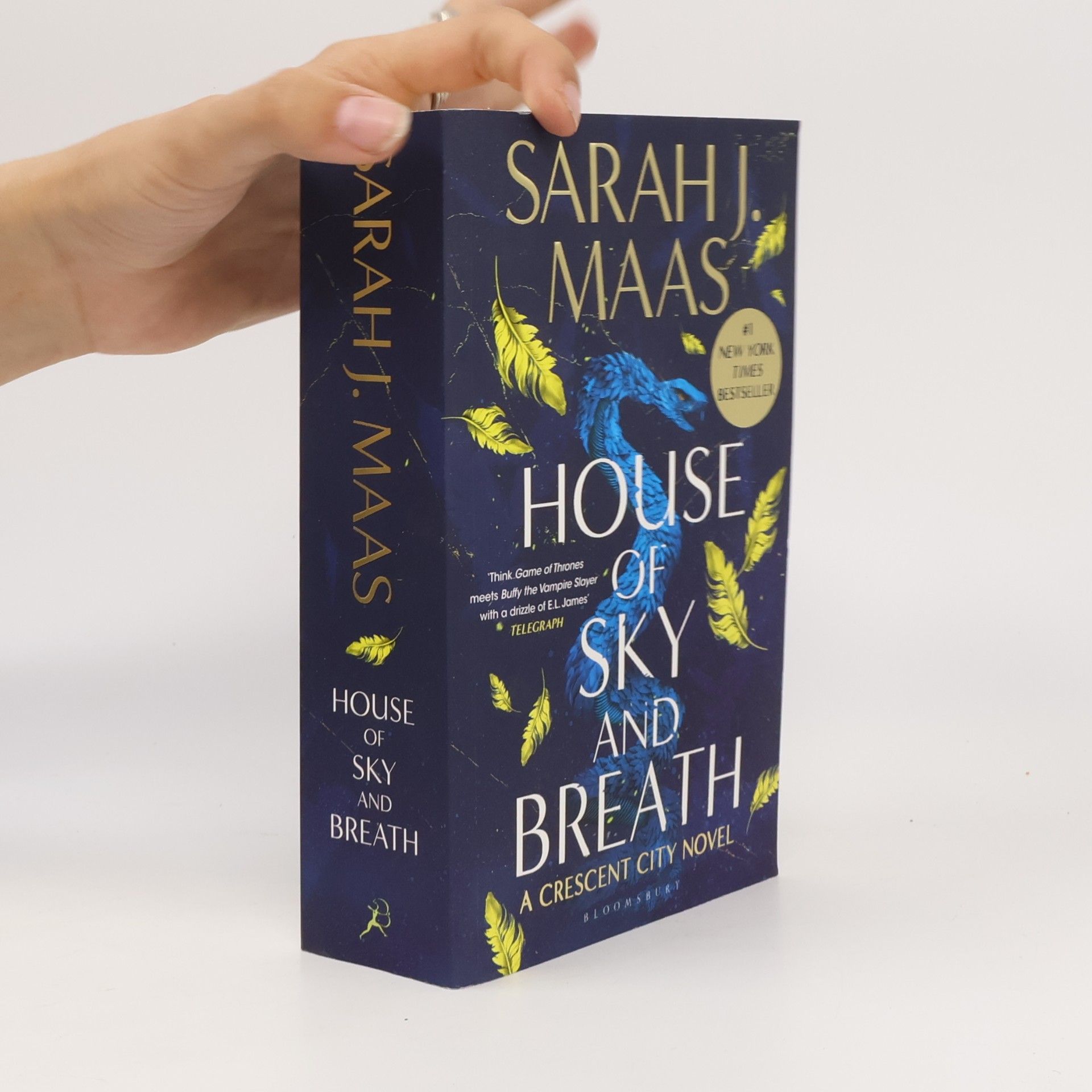 Sarah J. Maas House of Sky and Breath