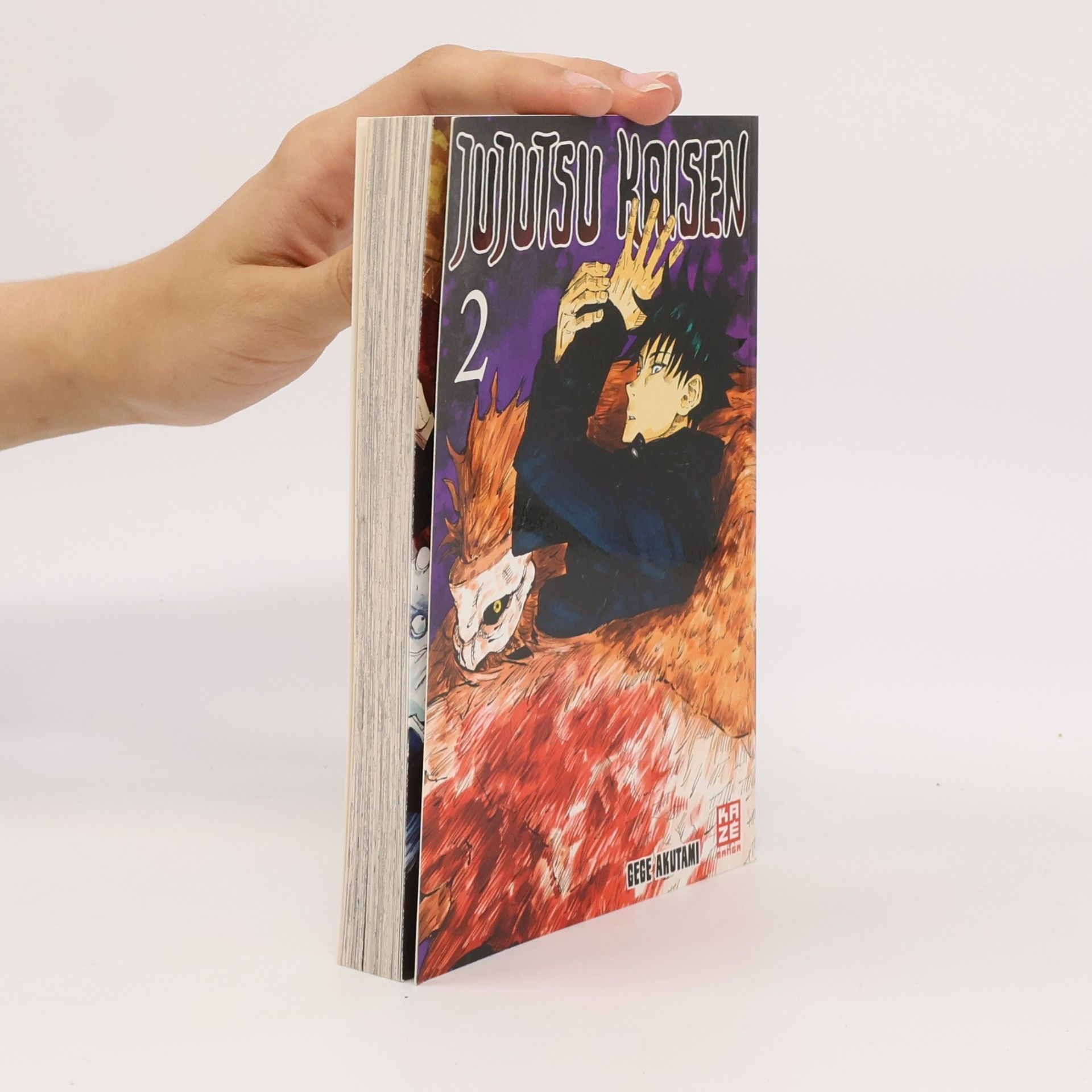 Gege Akutami Jujutsu Kaisen Vol. 2