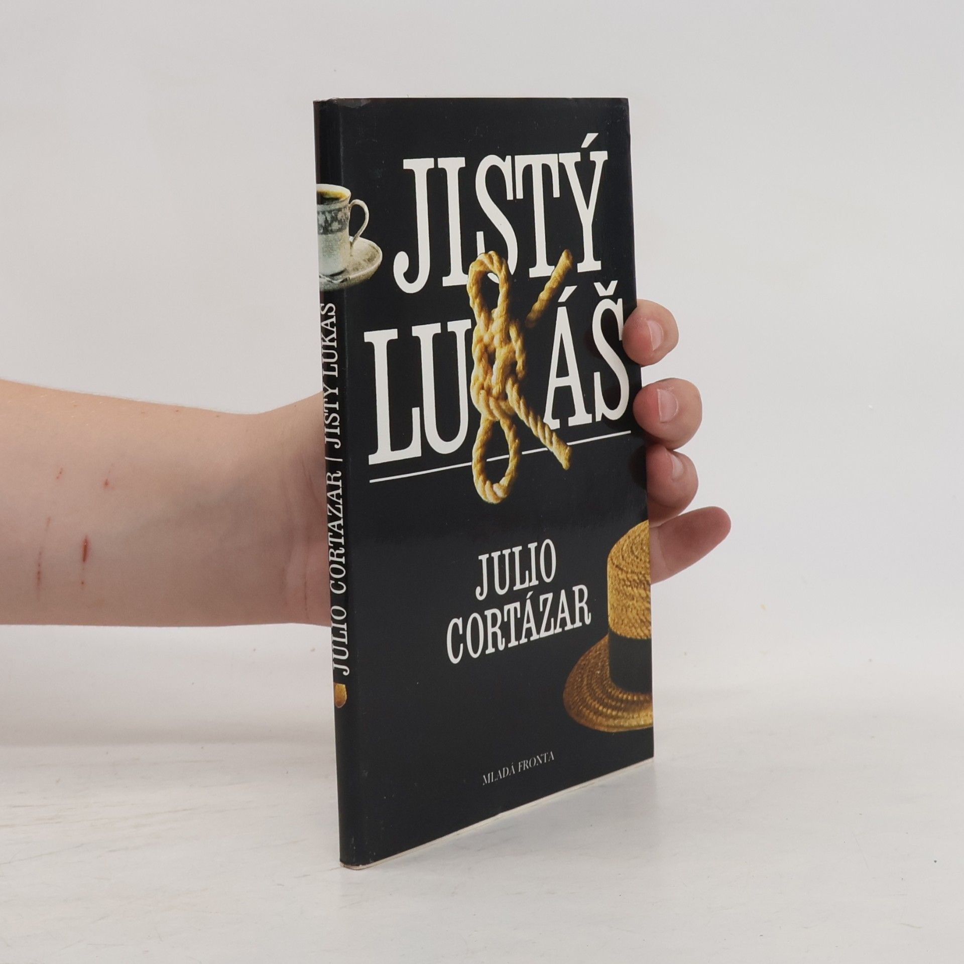 Julio Cortázar Jistý Lukáš