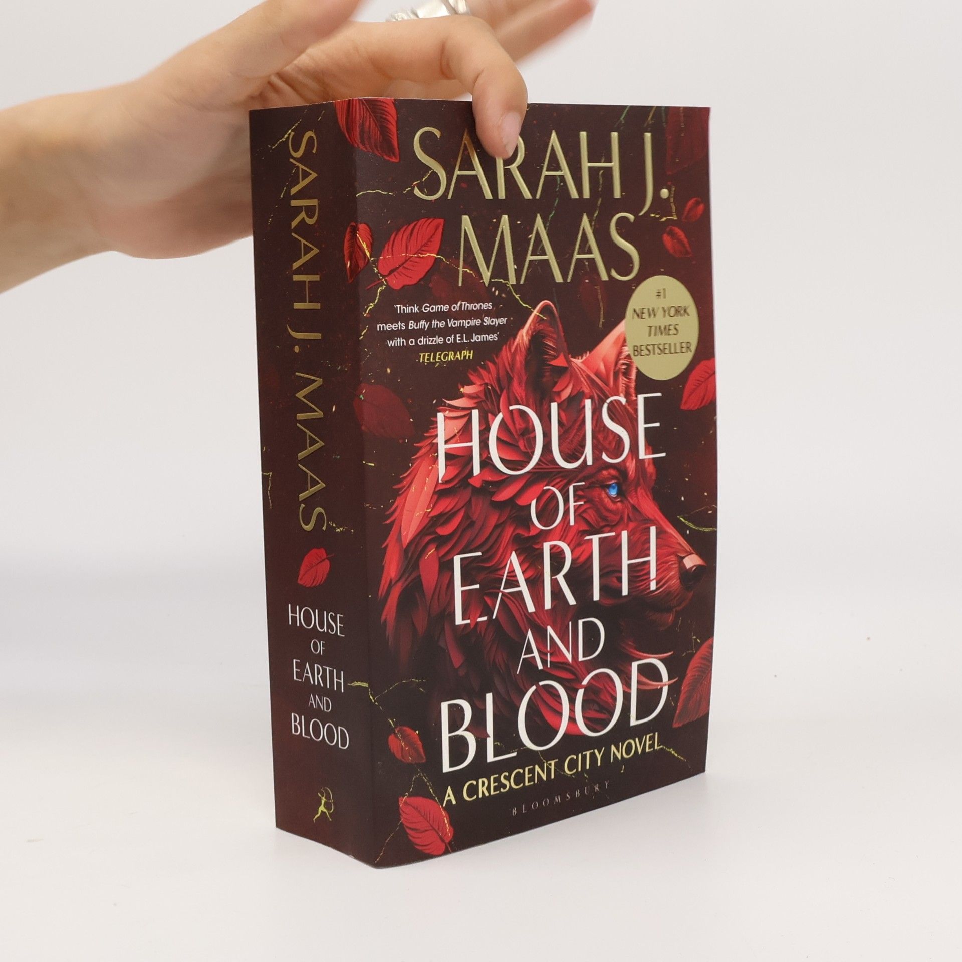 Sarah J. Maas House of Earth and Blood