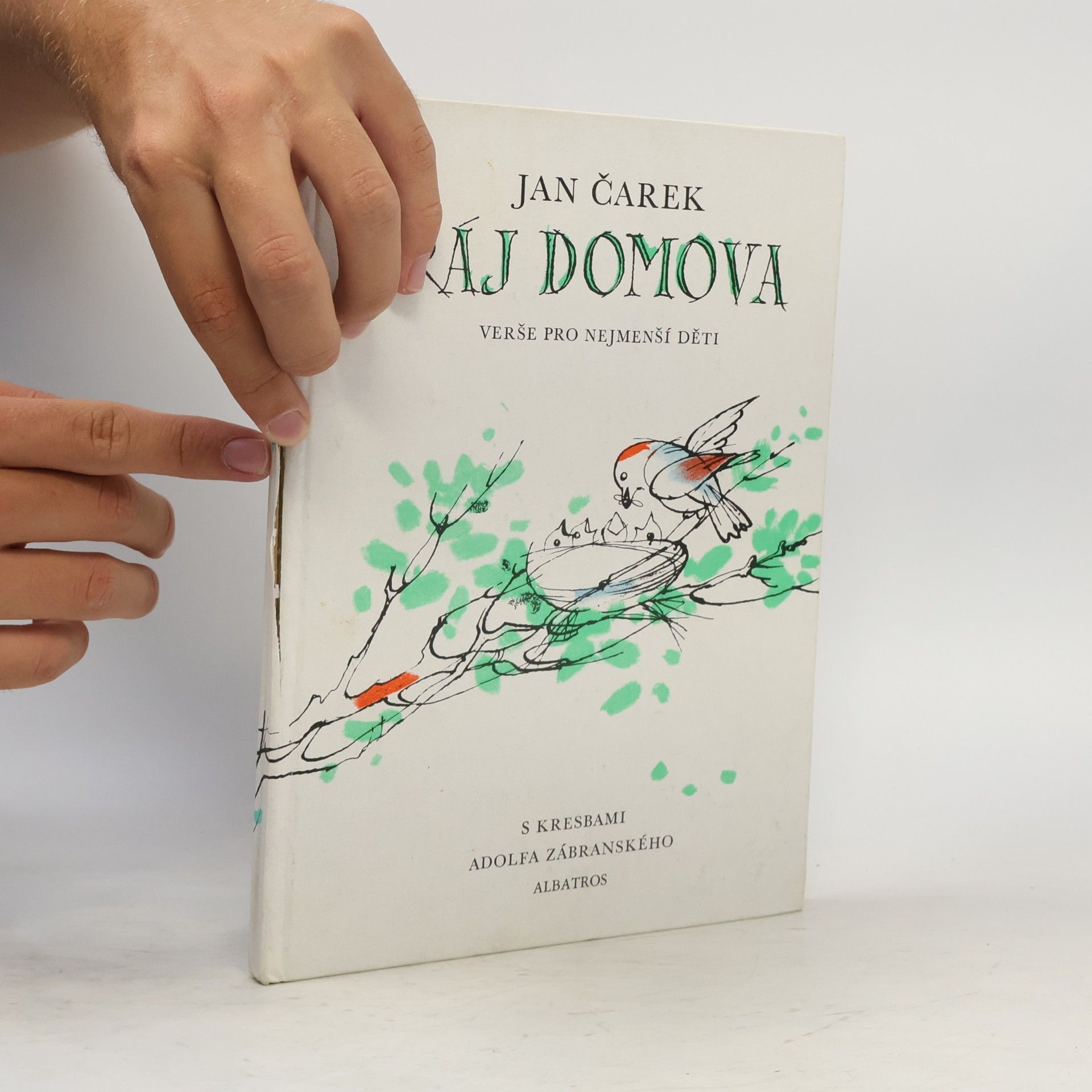 Jan Čarek Ráj domova