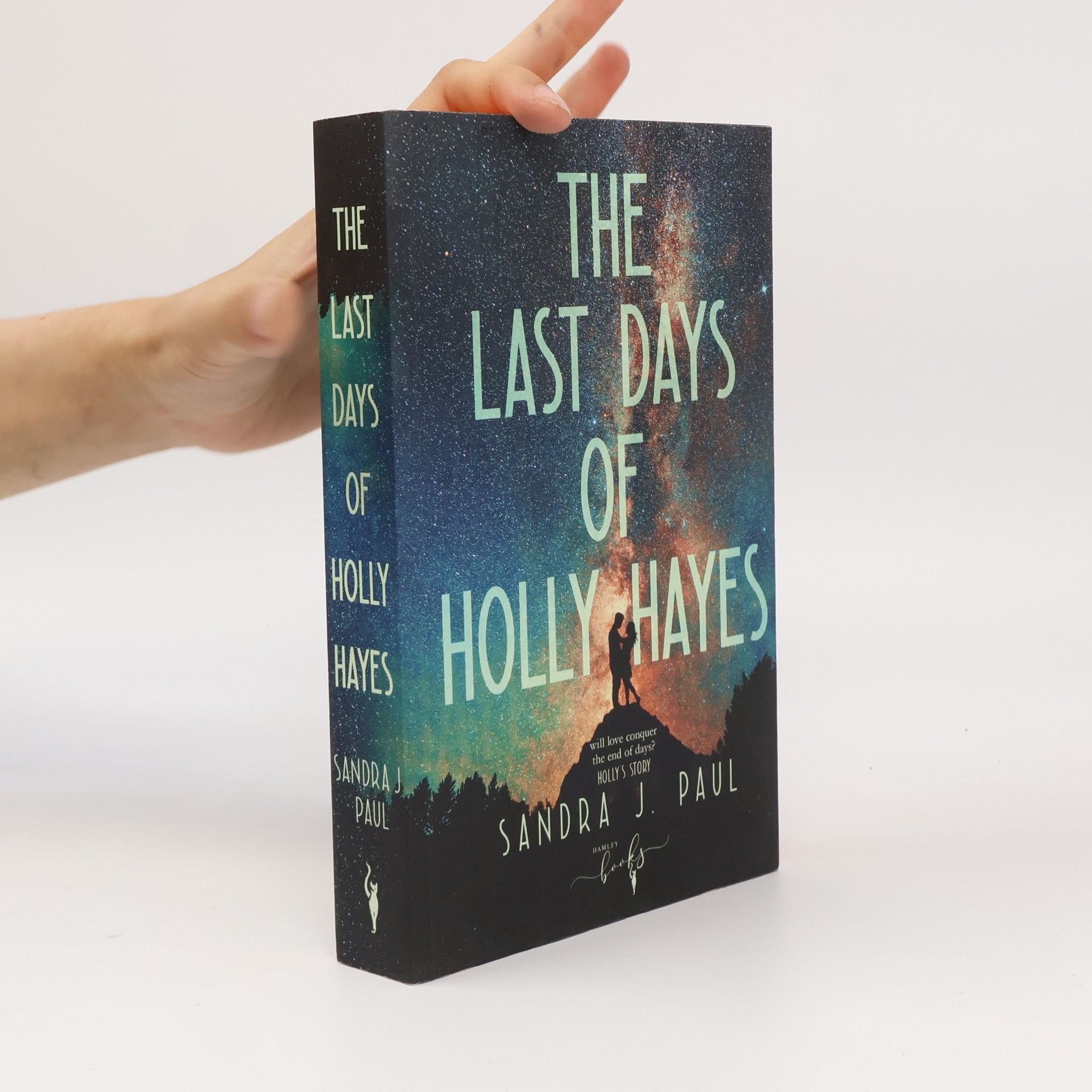 Sandra J. Paul The Last Days of Holly Hayes