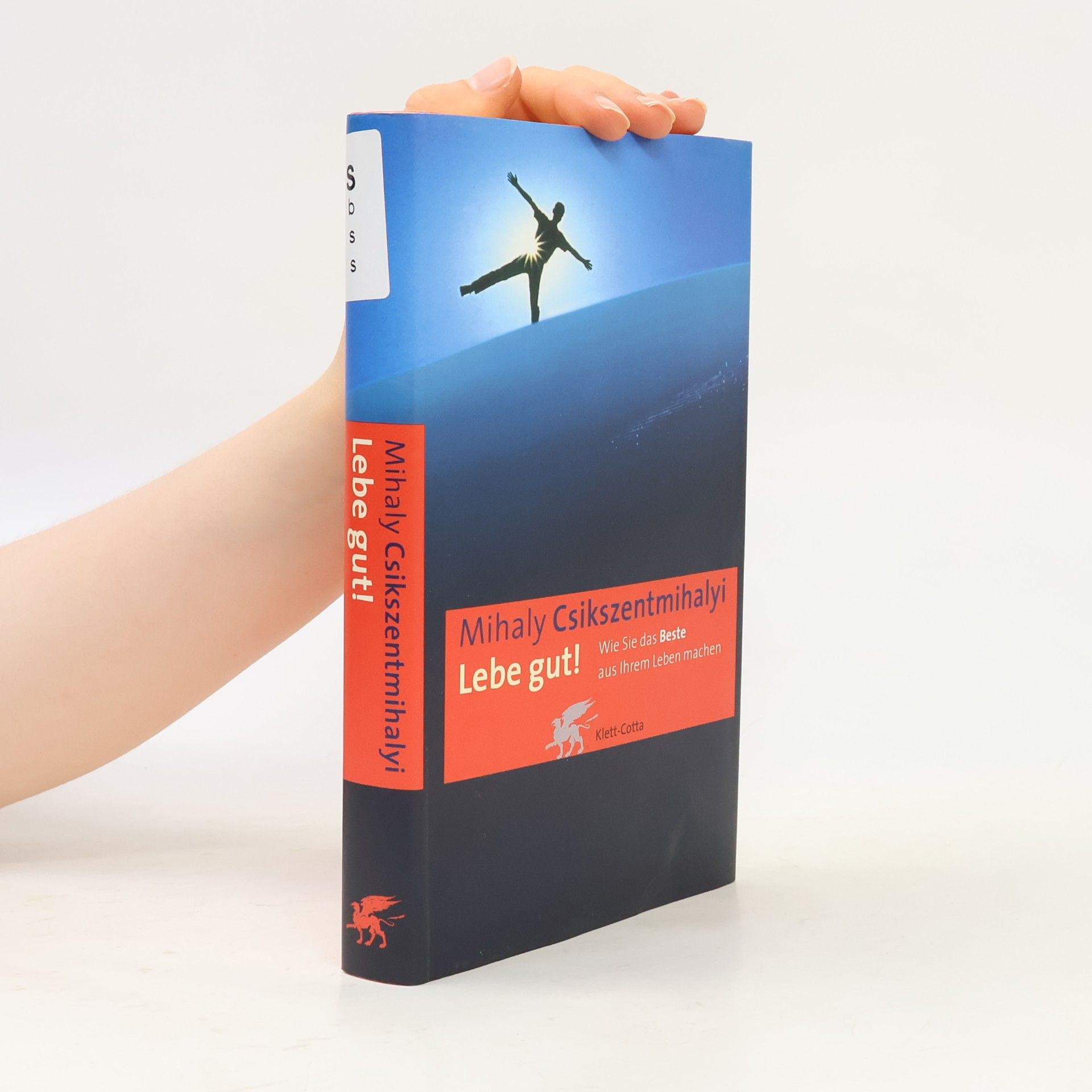 Mihaly Csikszentmihalyi Lebe gut!