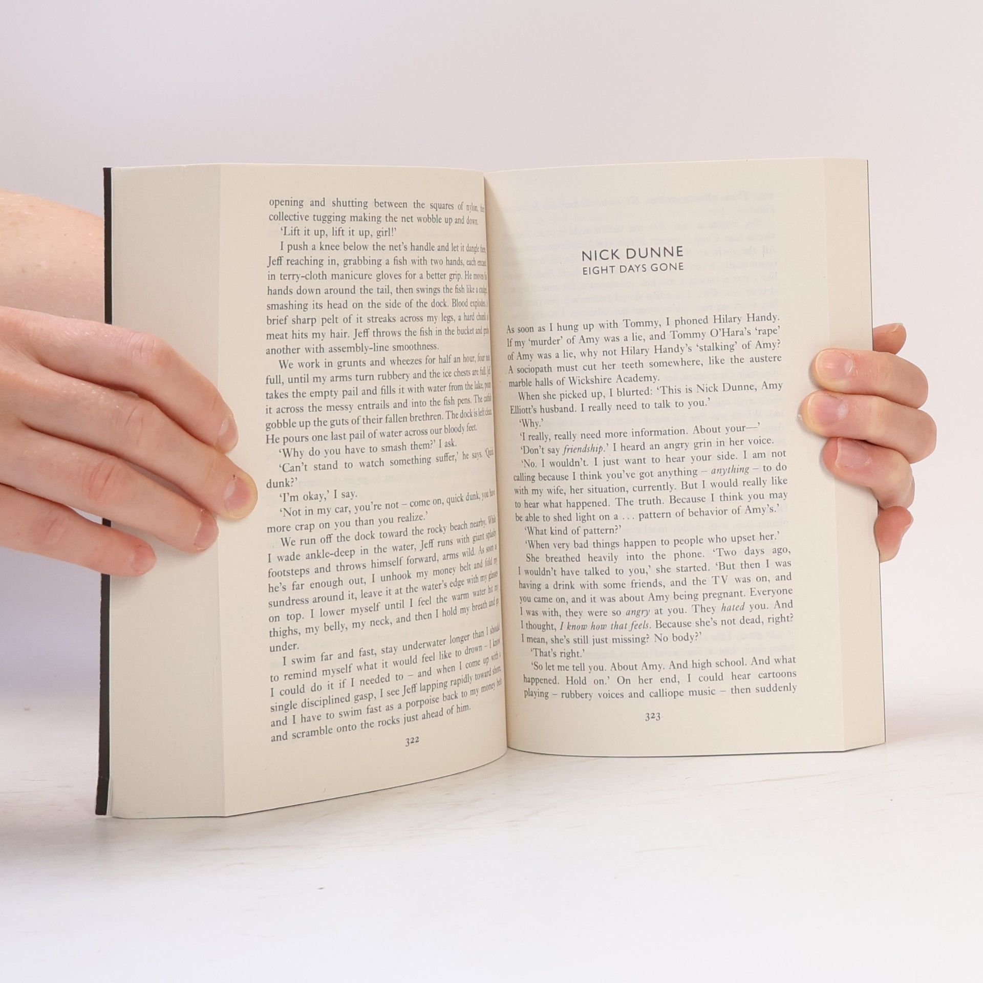 Gillian Flynn Gone Girl