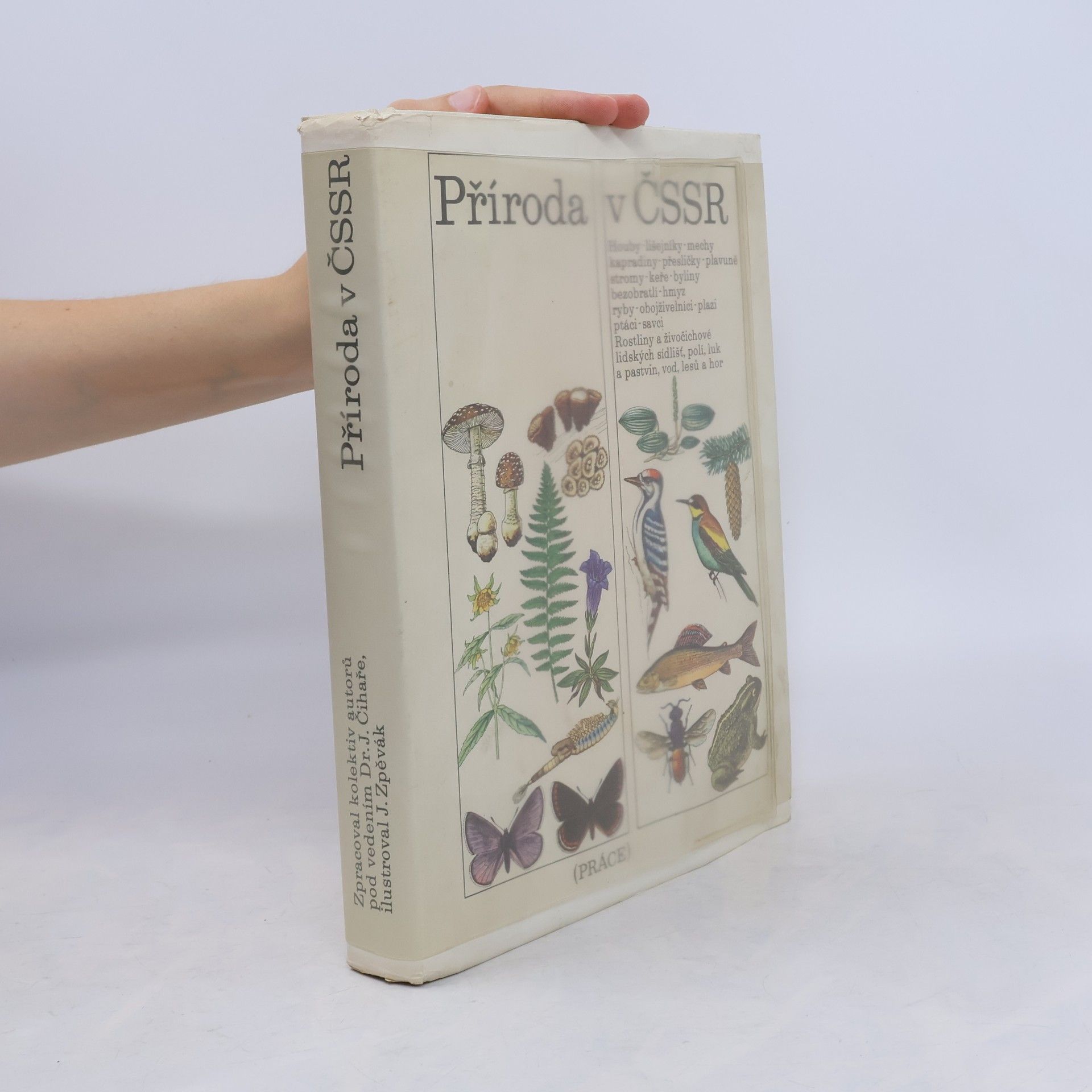 Autores varios Příroda v ČSSR