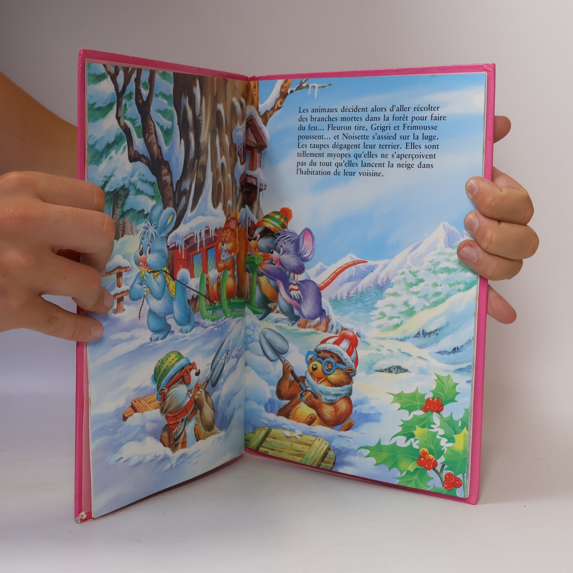 Carlos Busquets Le petit lapin bleu découvre la neige