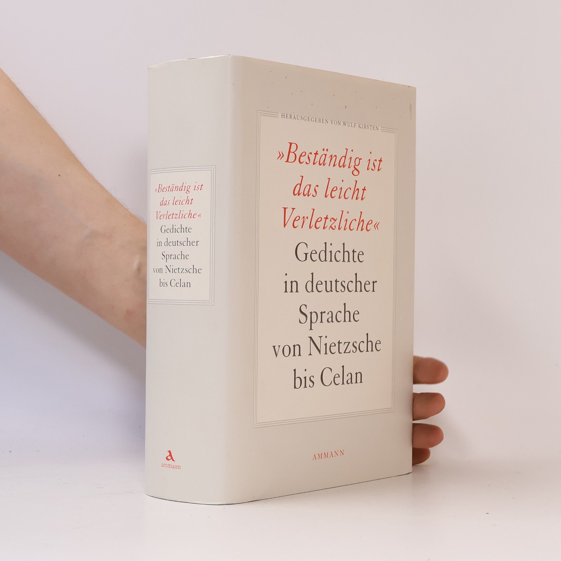 Kirsten Wulf Beständig ist das leicht Verletzliche. Gedichte in deutscher Sprache von Nietzsche bis Celan