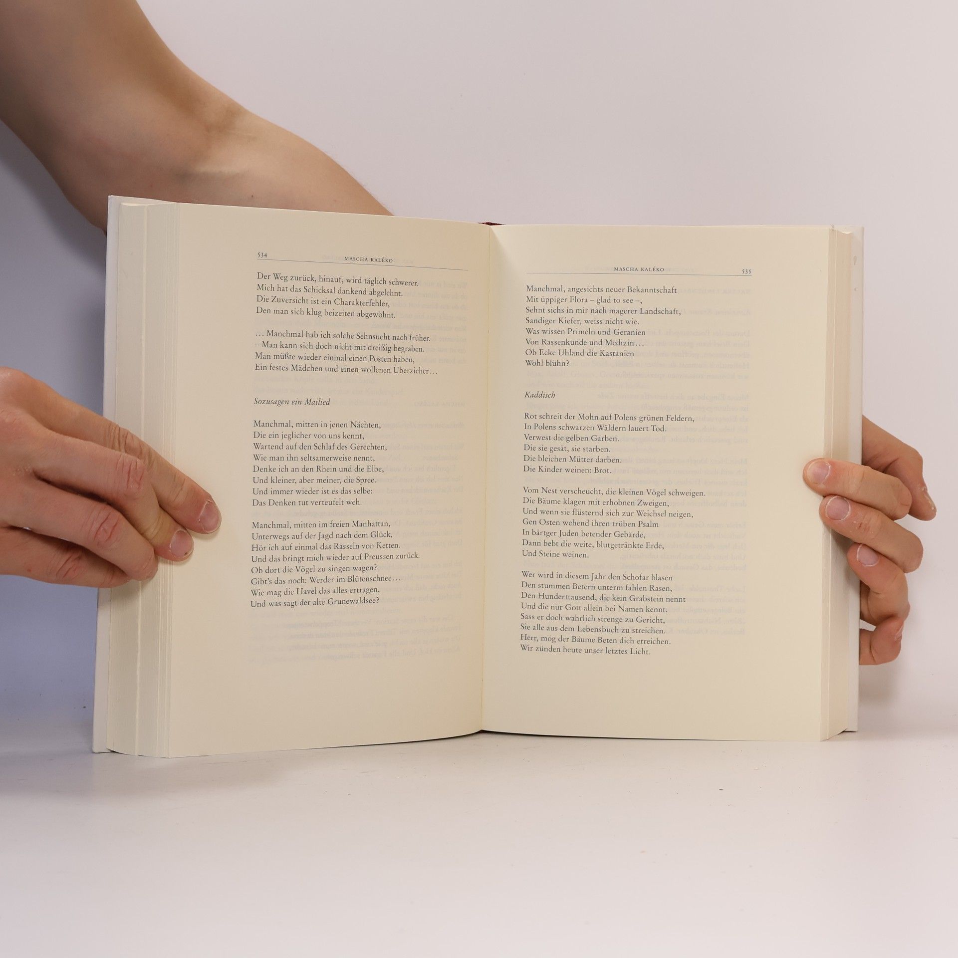Kirsten Wulf Beständig ist das leicht Verletzliche. Gedichte in deutscher Sprache von Nietzsche bis Celan
