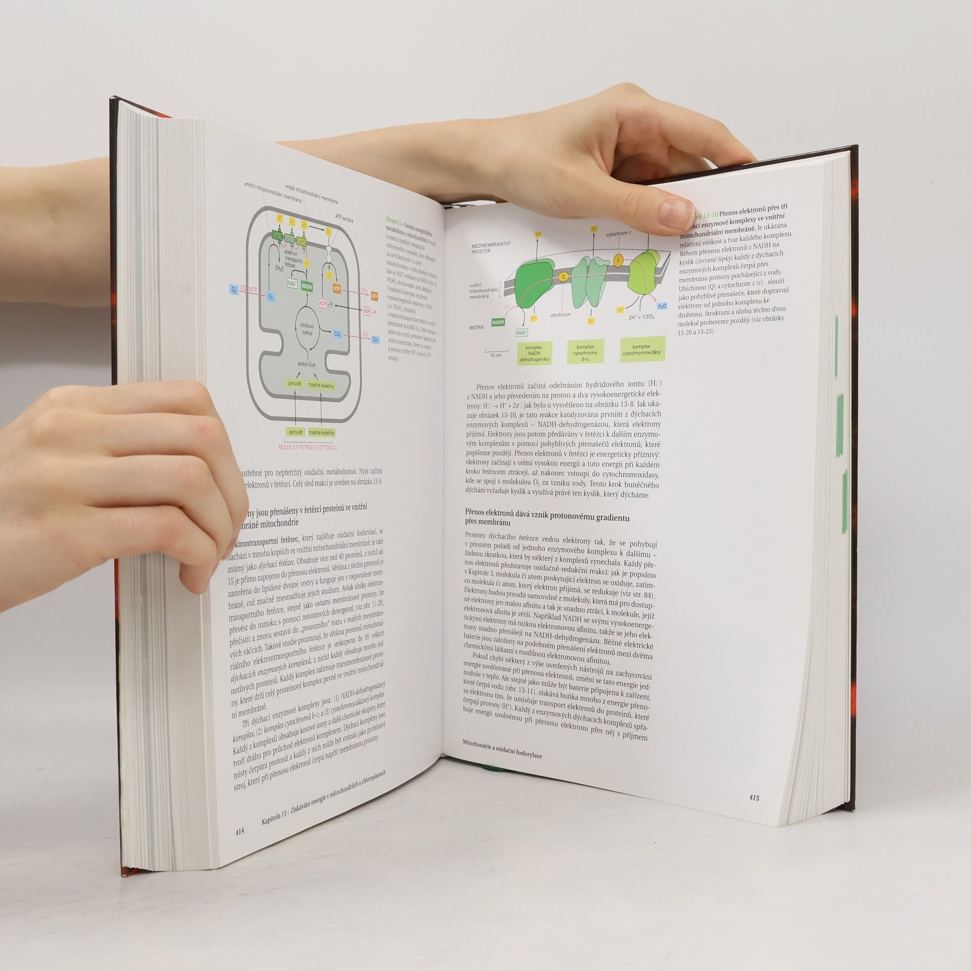 Bruce Alberts Základy buněčné biologie - Úvod do molekulární biologie buňky