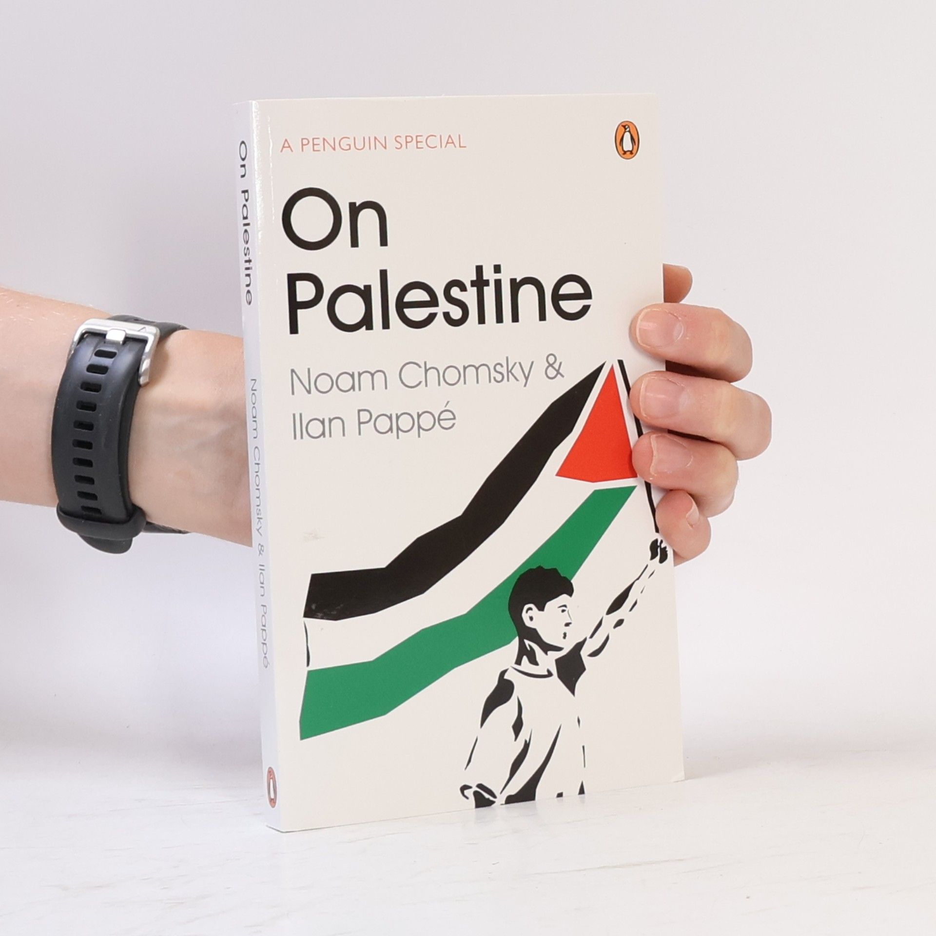 Noam Chomsky On Palestine