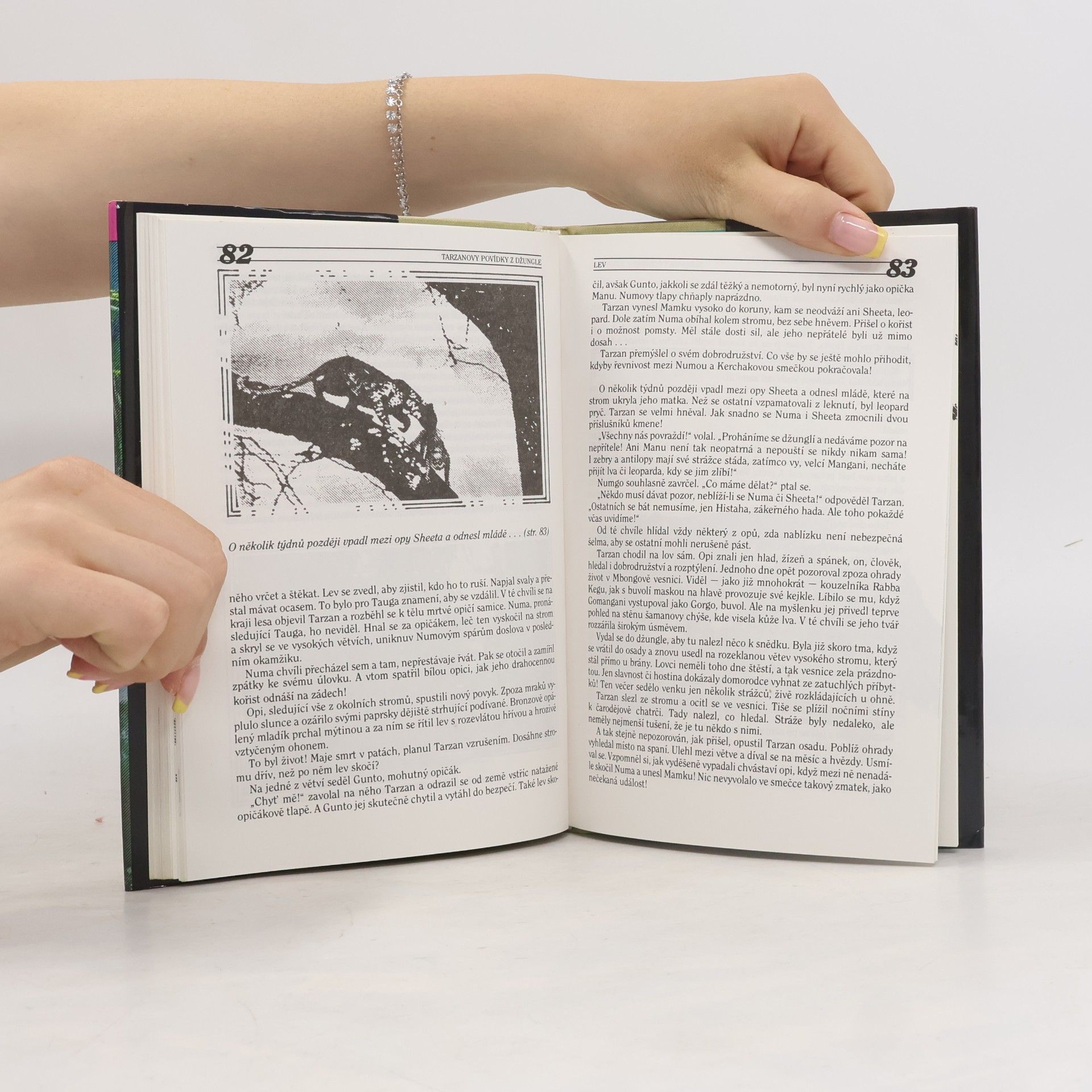Edgar Rice Burroughs Tarzanovy povídky z džungle