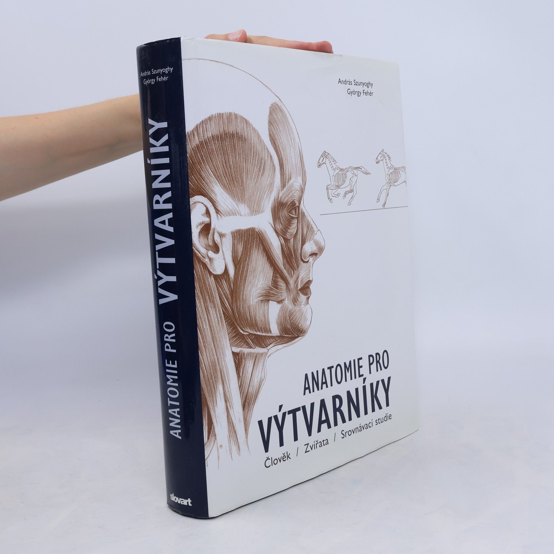 Anatomie pro výtvarníky: Člověk - zvířata - srovnávací studie