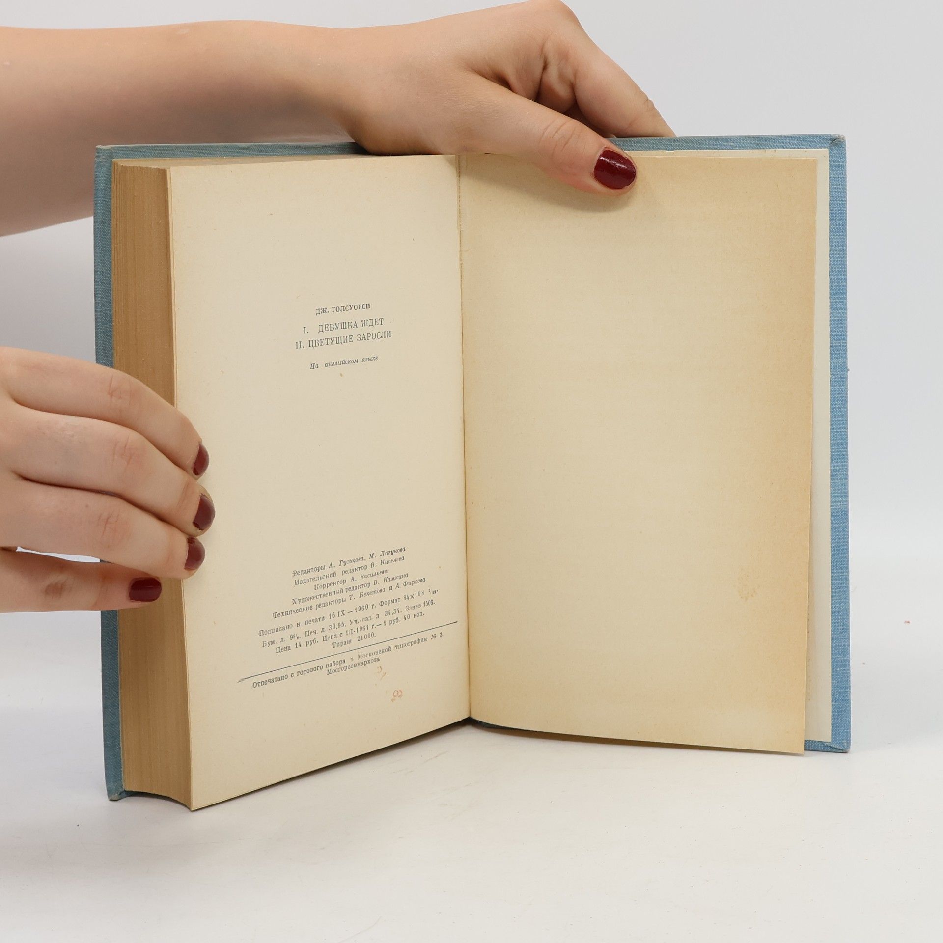 John Galsworthy End of the Chapter