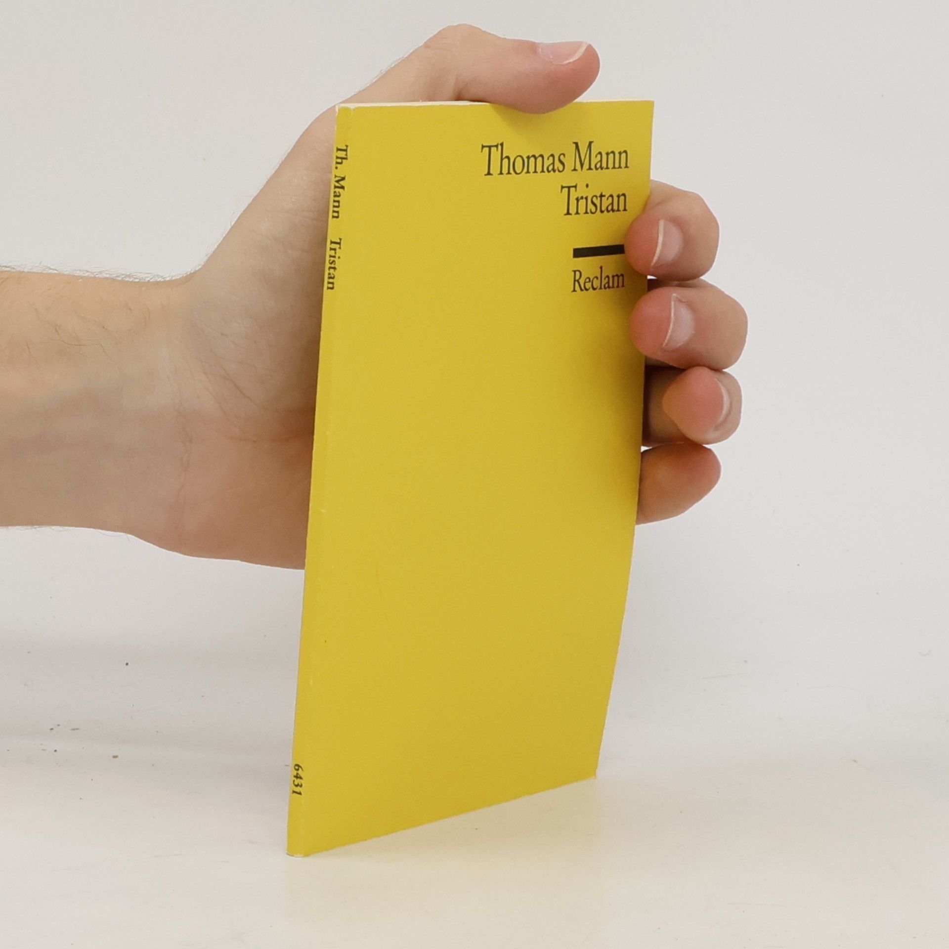 Thomas Mann Tristan