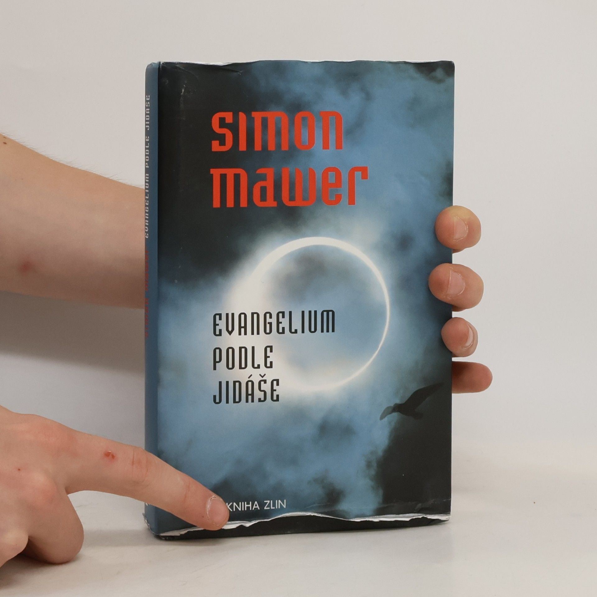 Simon Mawer Evangelium podle Jidáše