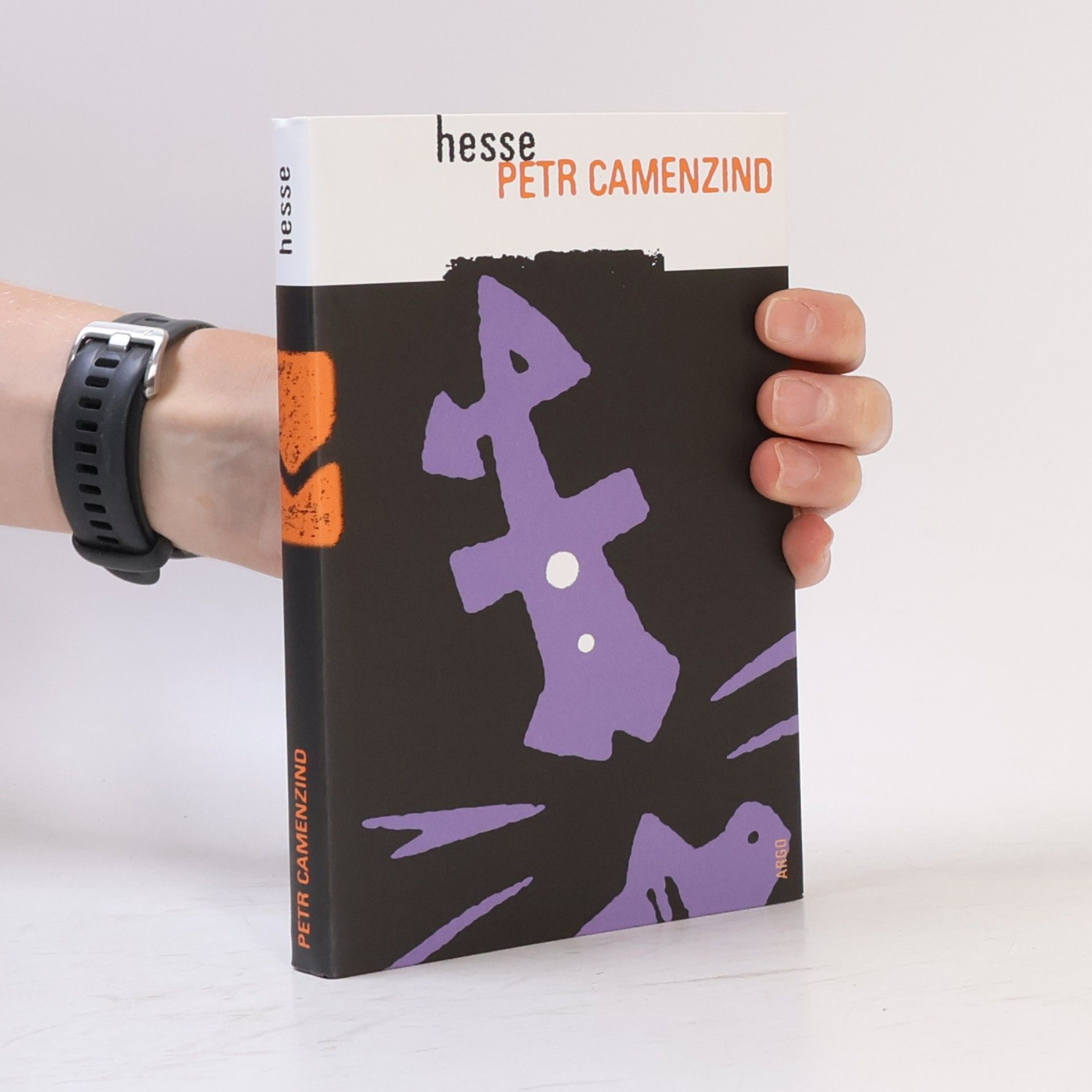 Hermann Hesse Petr Camenzind