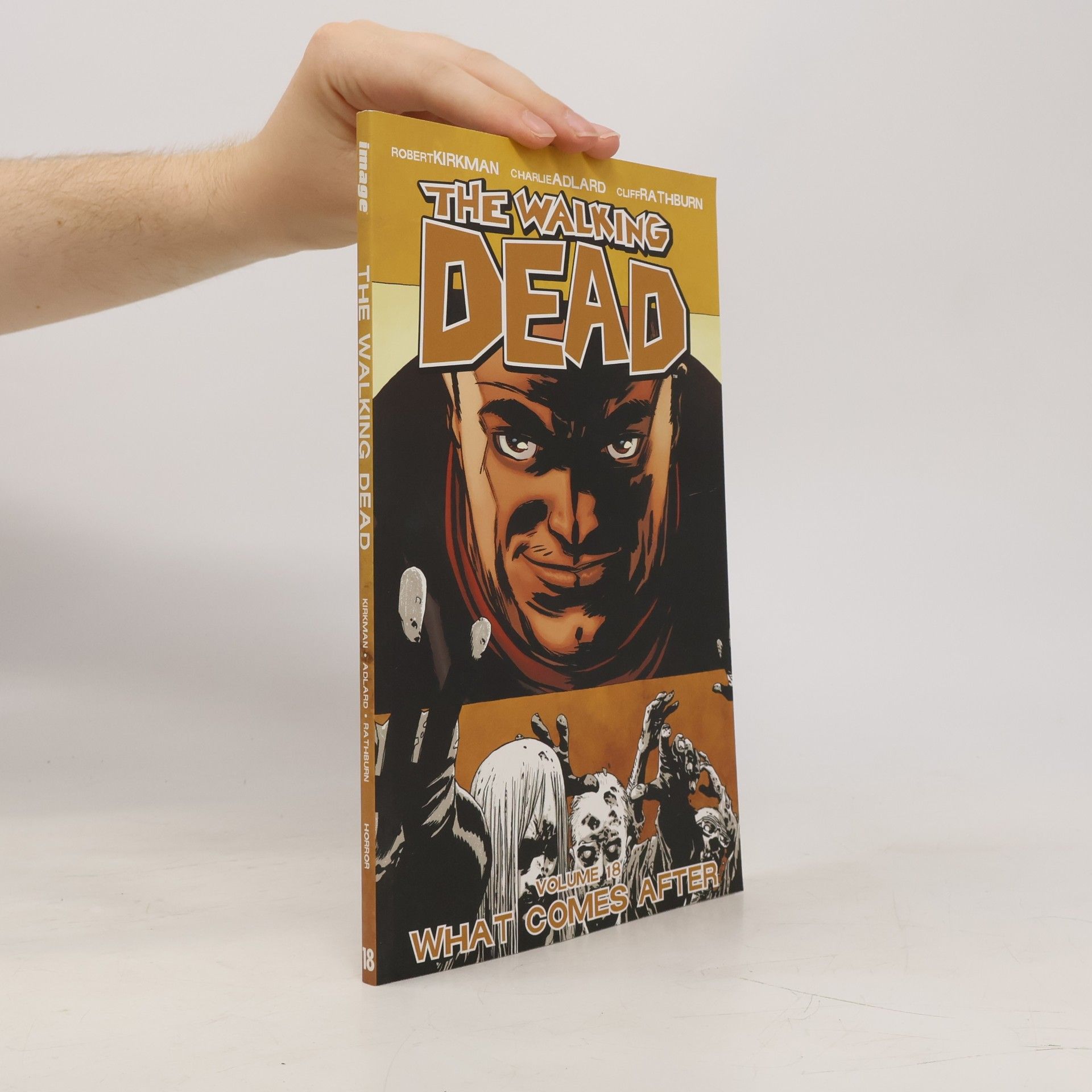 Robert Kirkman The Walking Dead: What Comes After Volume 18