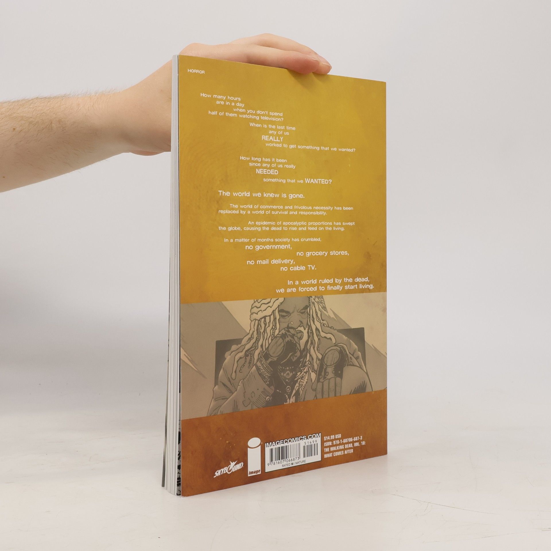 Robert Kirkman The Walking Dead: What Comes After Volume 18