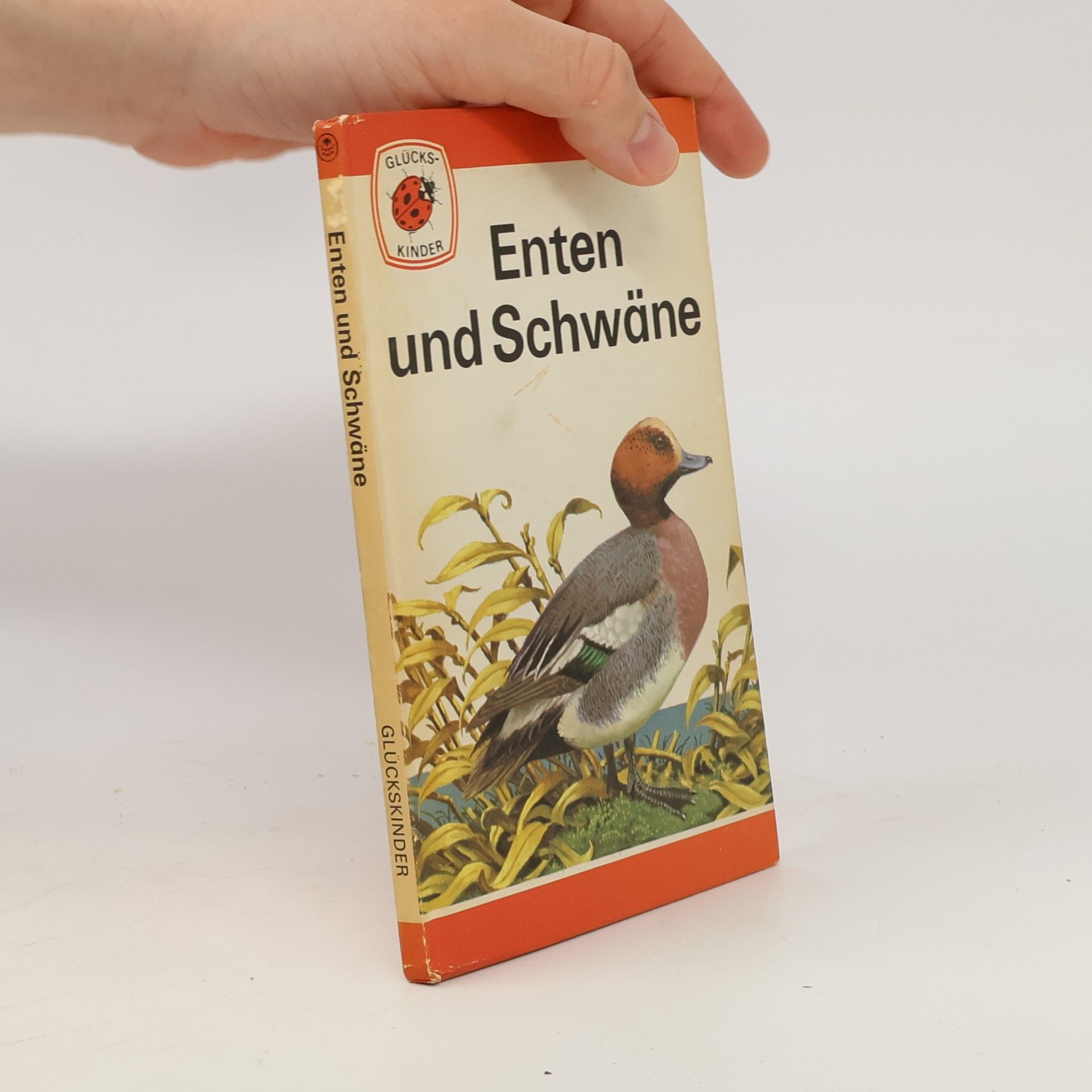 Collectif d'auteurs Glücks Kinderserie. Enten und Schwäne