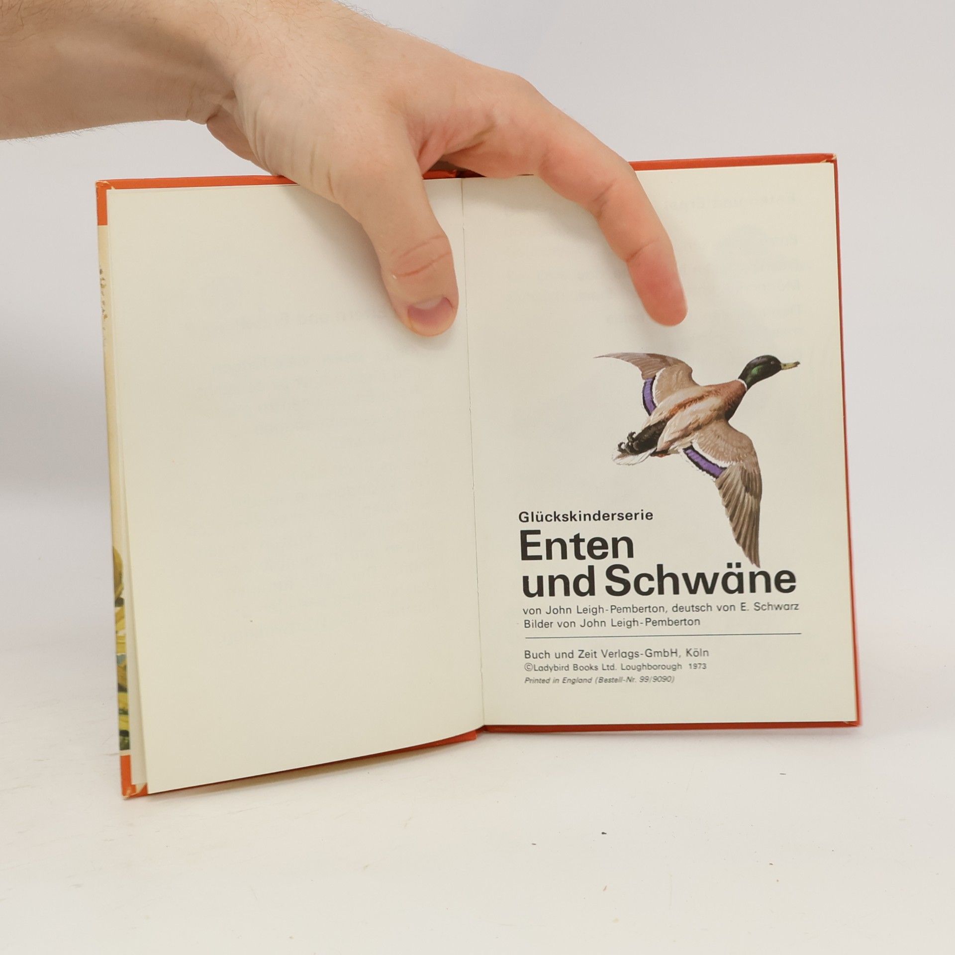 Collectif d'auteurs Glücks Kinderserie. Enten und Schwäne