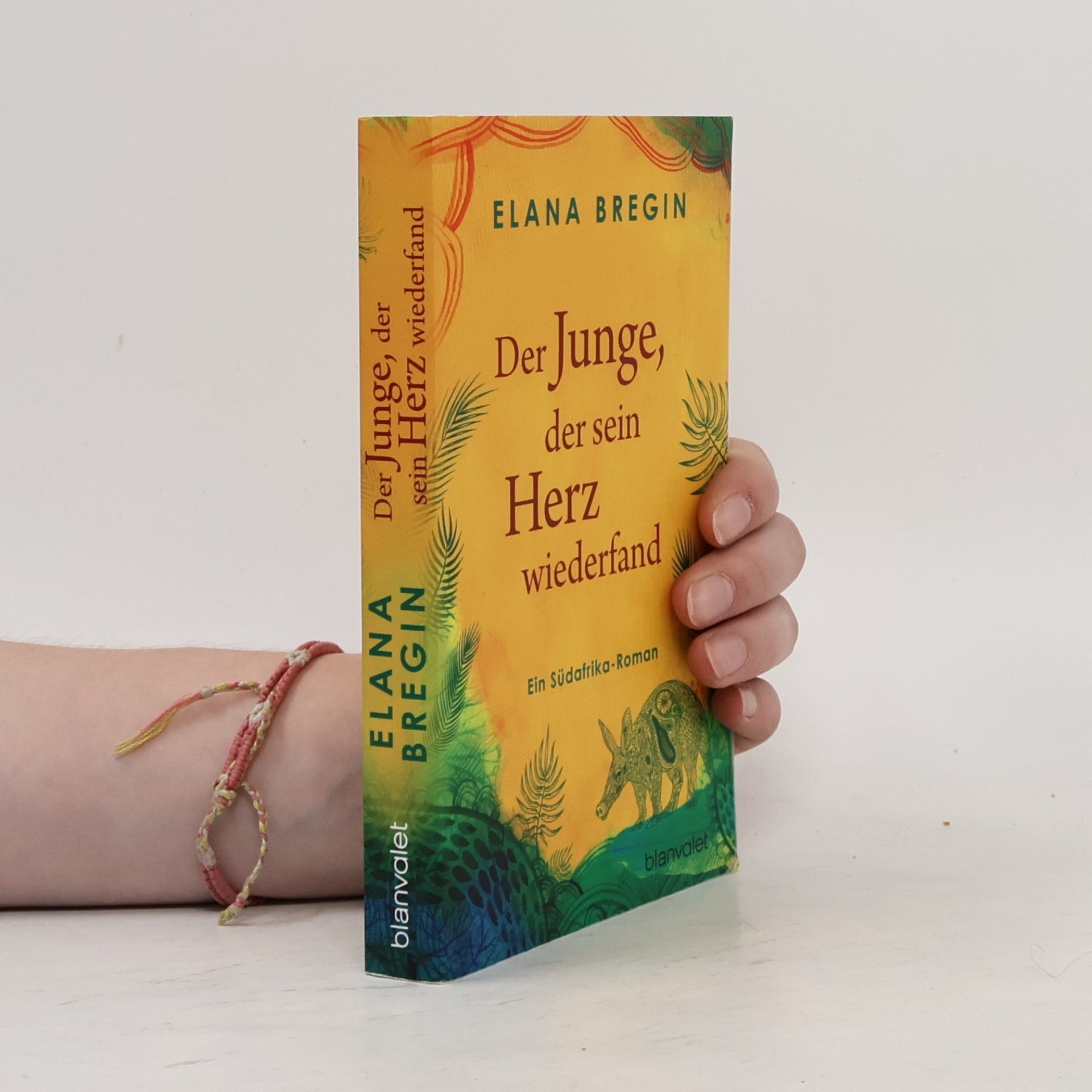 Elana Bregin Der Junge, der sein Herz wiederfand