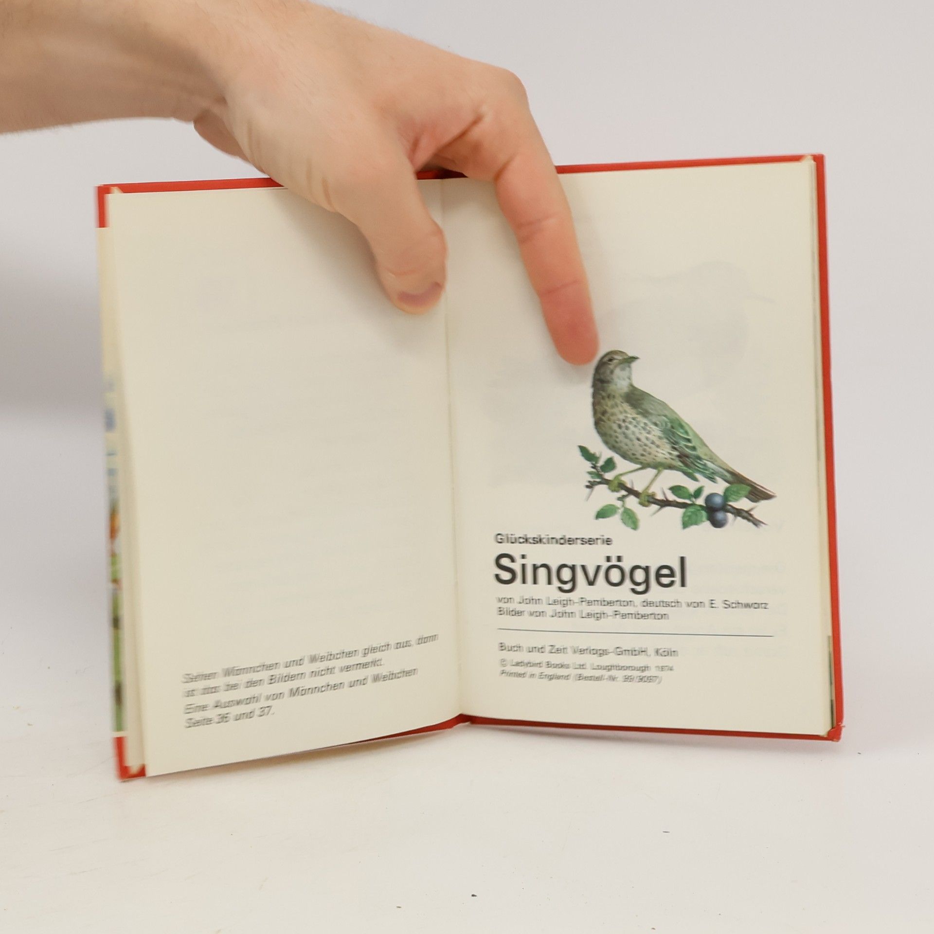 John Leigh Pemberton  Singvögel