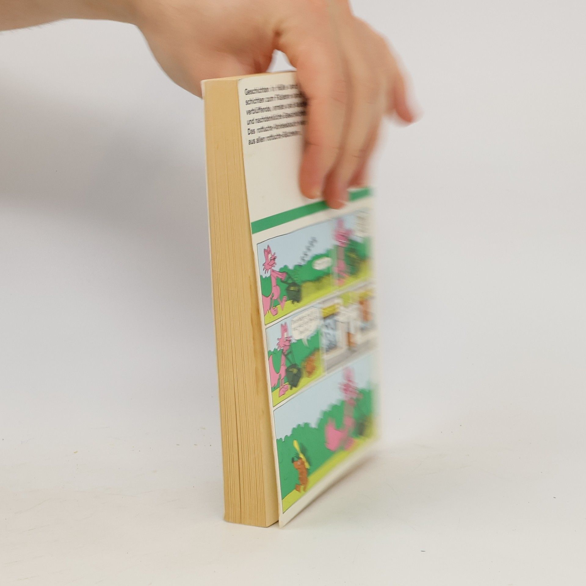 Autorenkollektiv Das Rotfuchs-Vorlesebuch