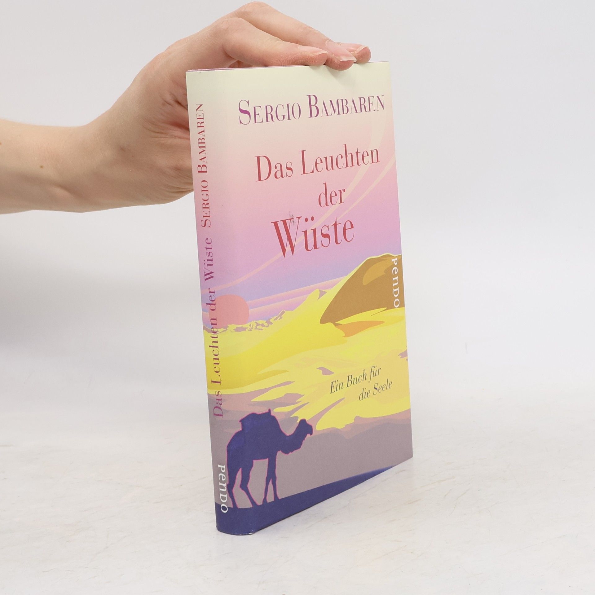 Sergio Bambarén Das Leuchten der Wüste