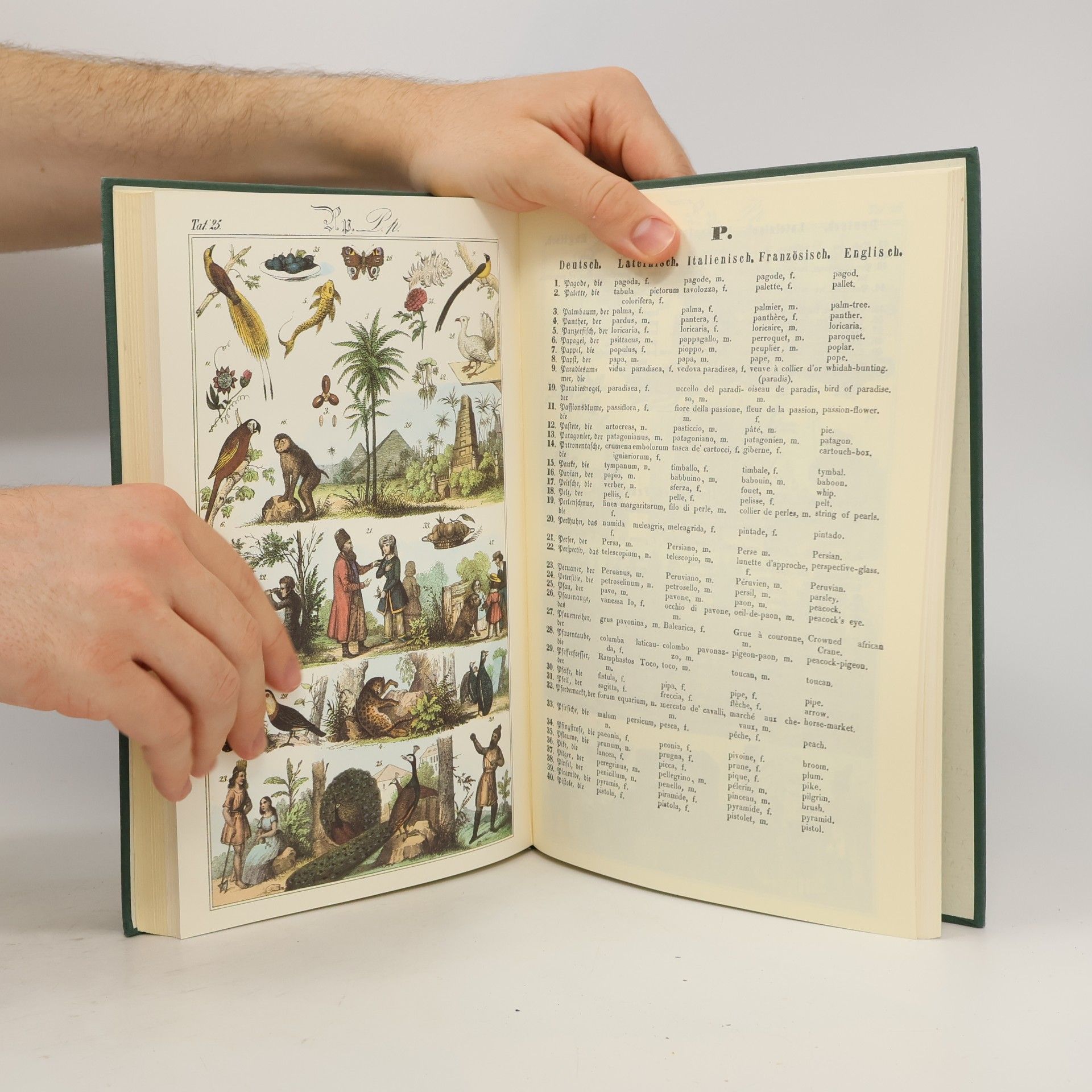 Collectif d'auteurs Neuester Orbis Pictus oder Schauplatz der Natur und Kunst (reprint)