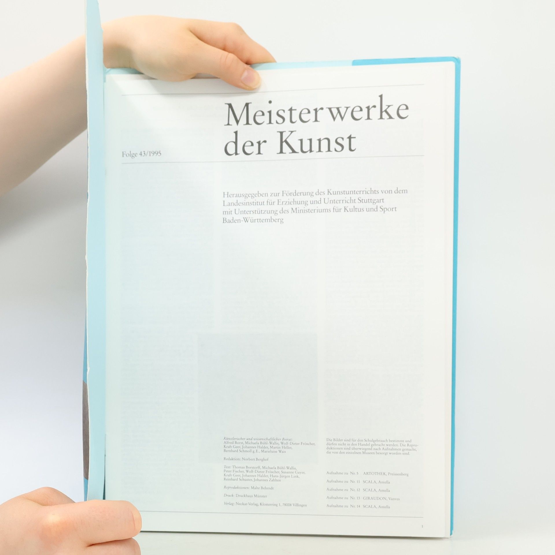 Various authors Meister Werke der Kunst 43