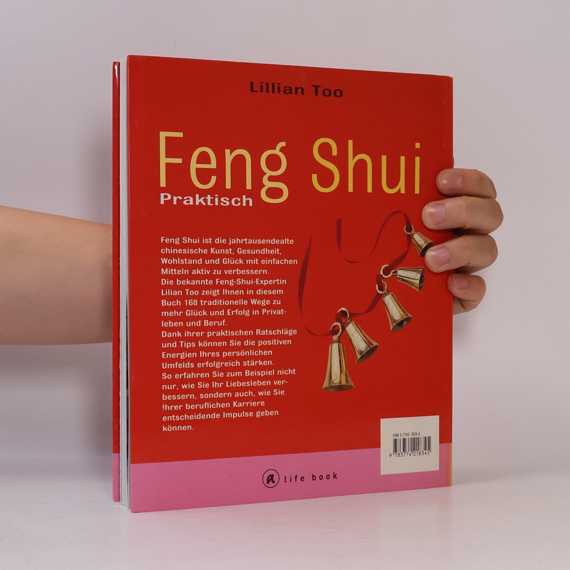Lillian Too Praktisches Feng Shui