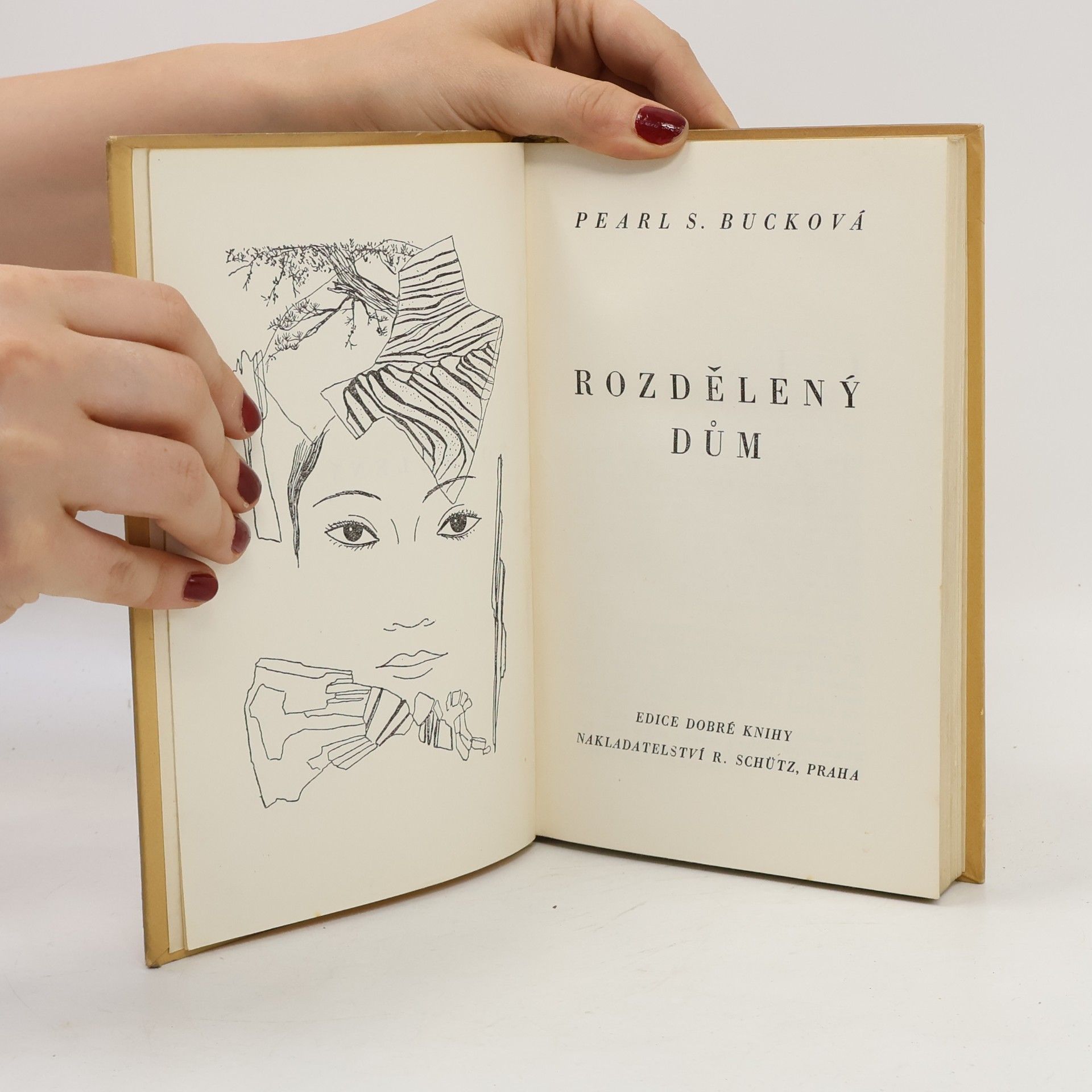 Pearl S. Bucková Rozdělený dům