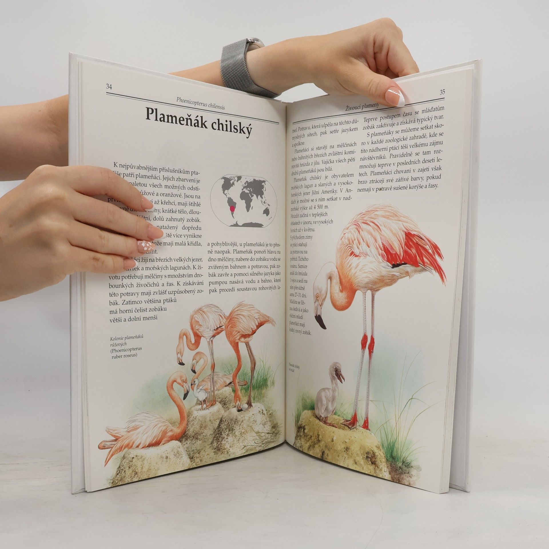 Evžen Kůs Ptáci v zoo: Cizokrajní opeřenci a jejich mláďata