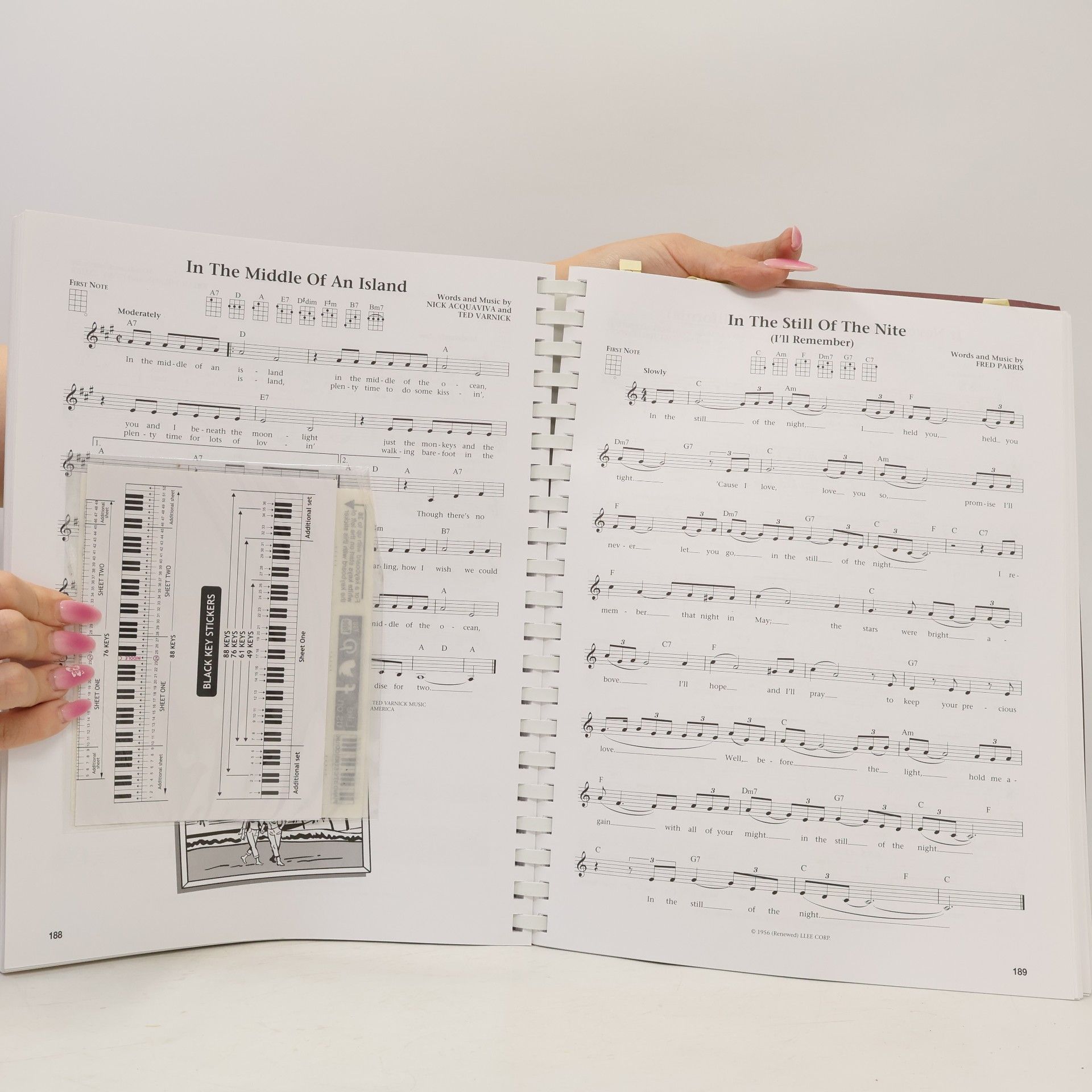 Jim Beloff A Jumpin' Jim's Ukulele Songbook: The Daily Ukulele - Leap Year Edition
