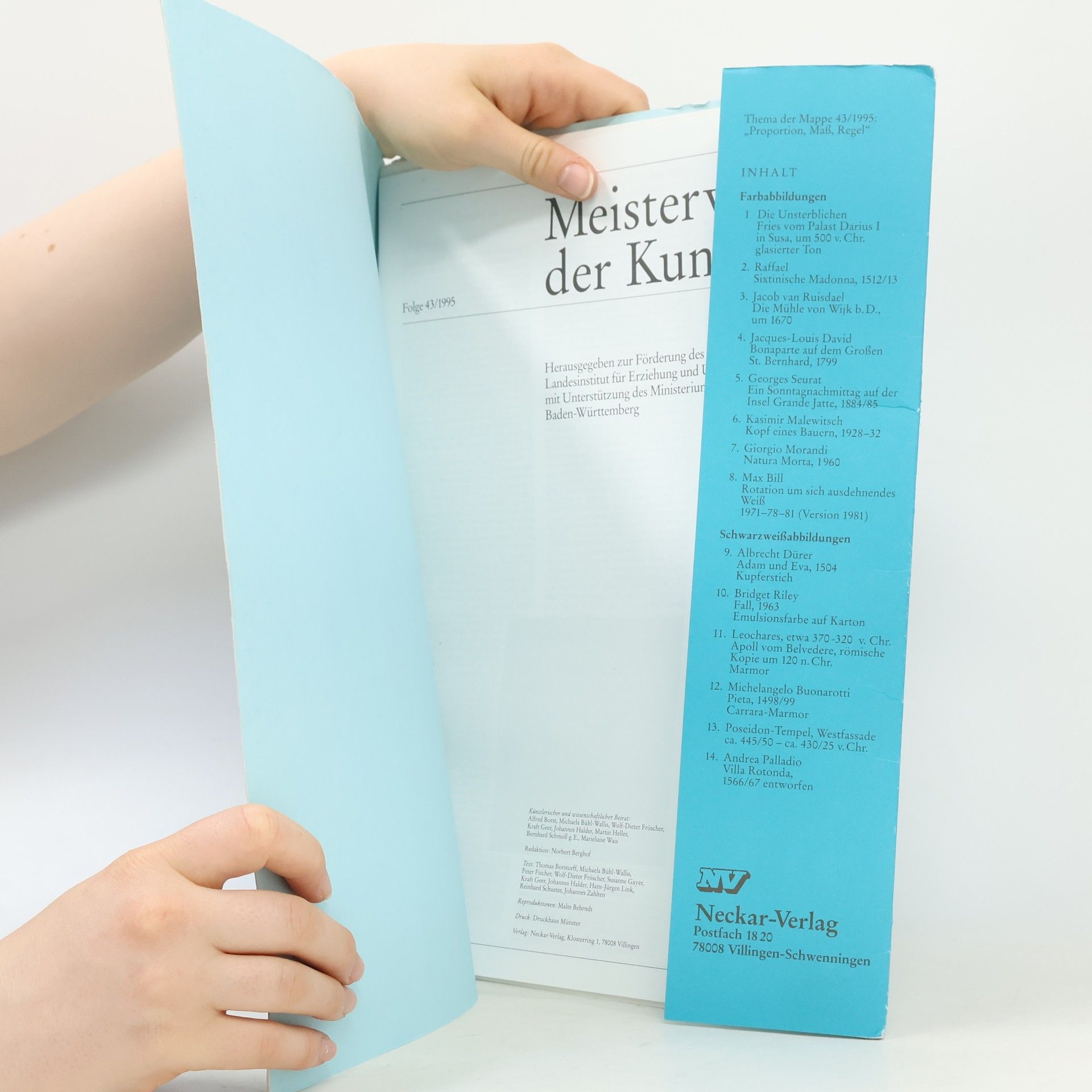 Various authors Meister Werke der Kunst 43